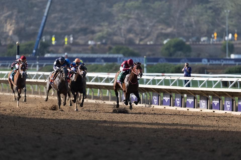 Dubai World Cup 2026: Despite The War, The Race Is On