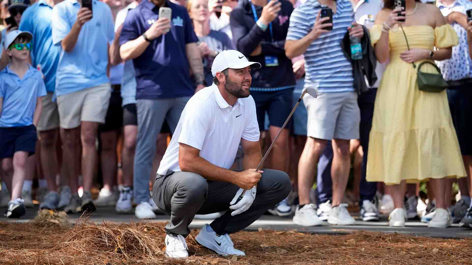 Scottie Scheffler’s Absence From Golf Shows Major Teammate Ties Up Title Race