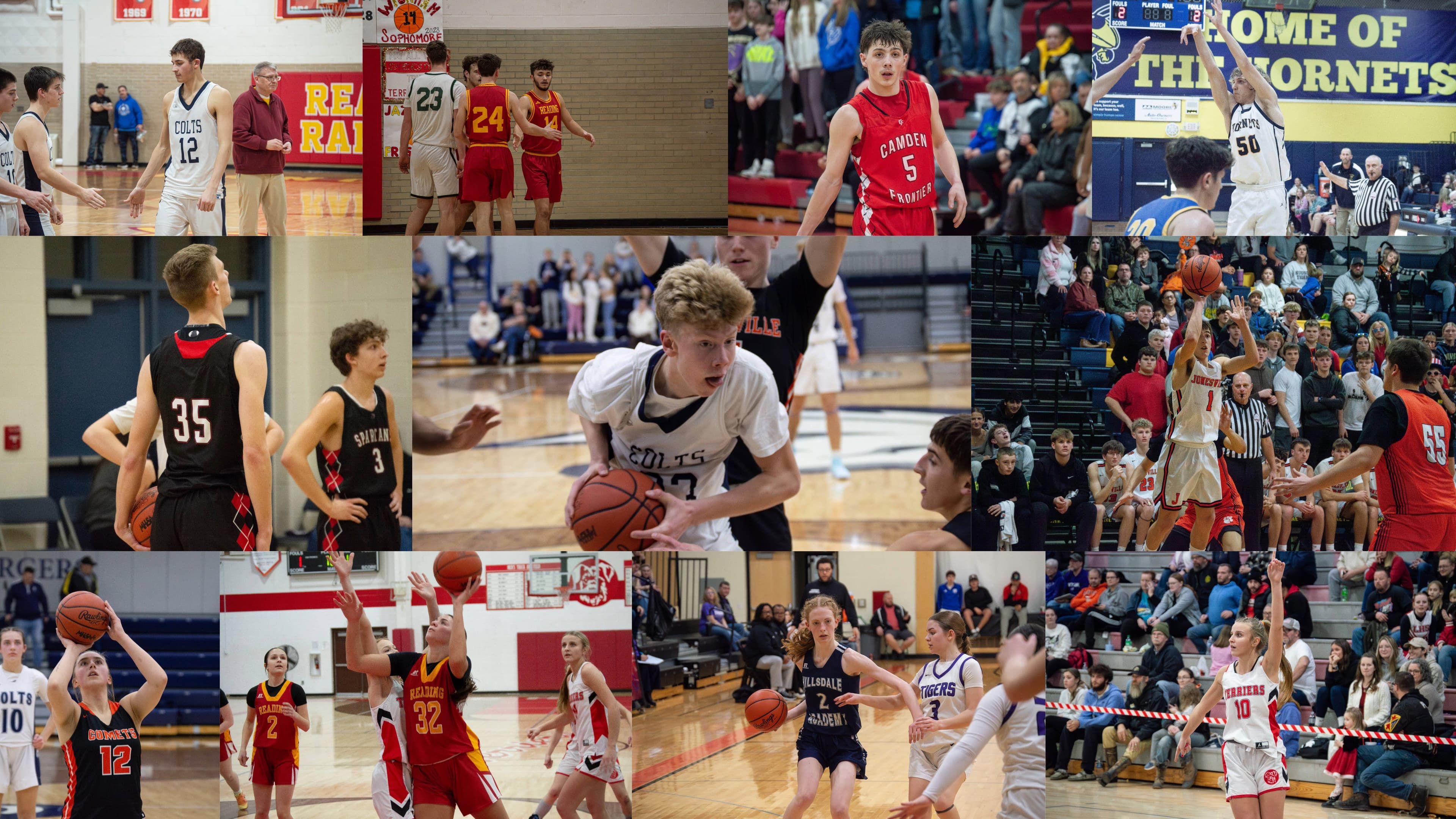 Hillsdale County hoops athletes earn more than 50 all-league honors