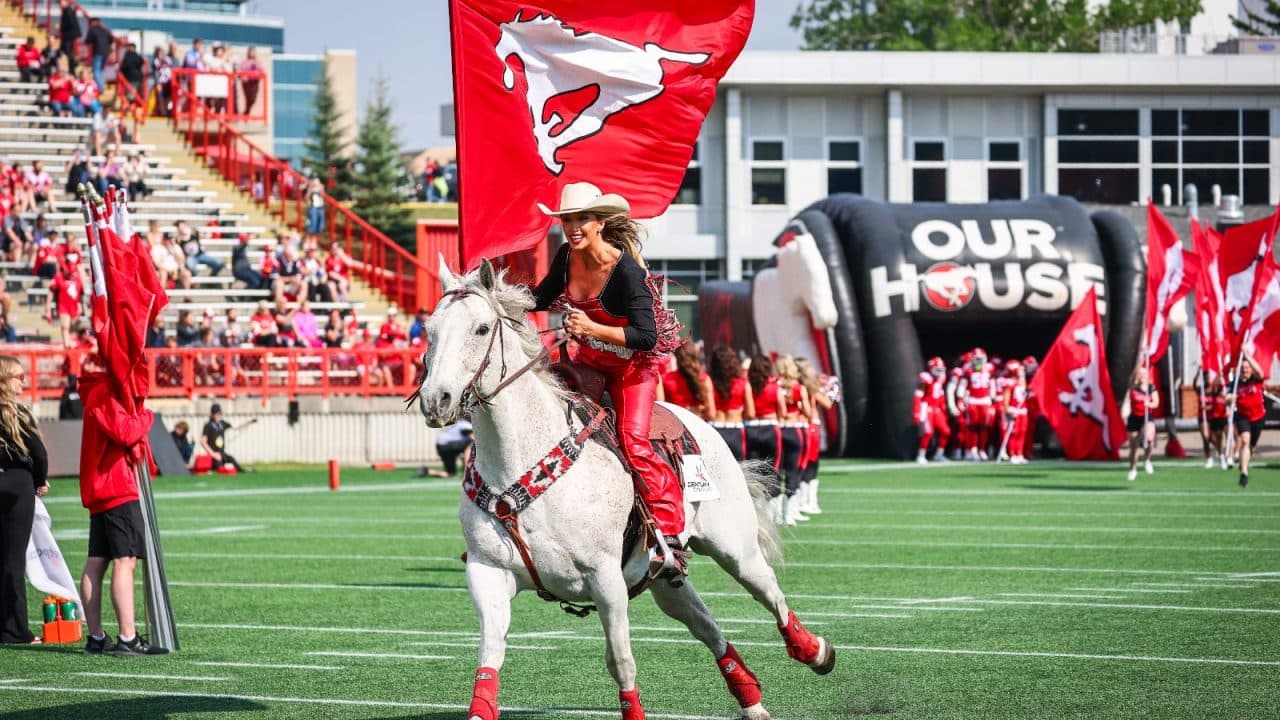 Eight High-Profile Online Sports Betting Platforms Registered In Alberta