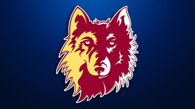 Northern Baseball suffers a pair of one-run losses against CSP