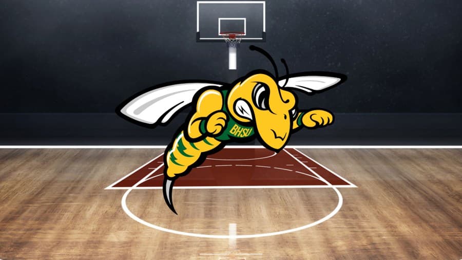 New Headline: Wildcats Thrash Opponents 5-0, Stunning Top-Notch Performances Across the Board!