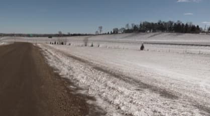 Golden Moment Brewing: Strom Thorns Lights Up The Sky!