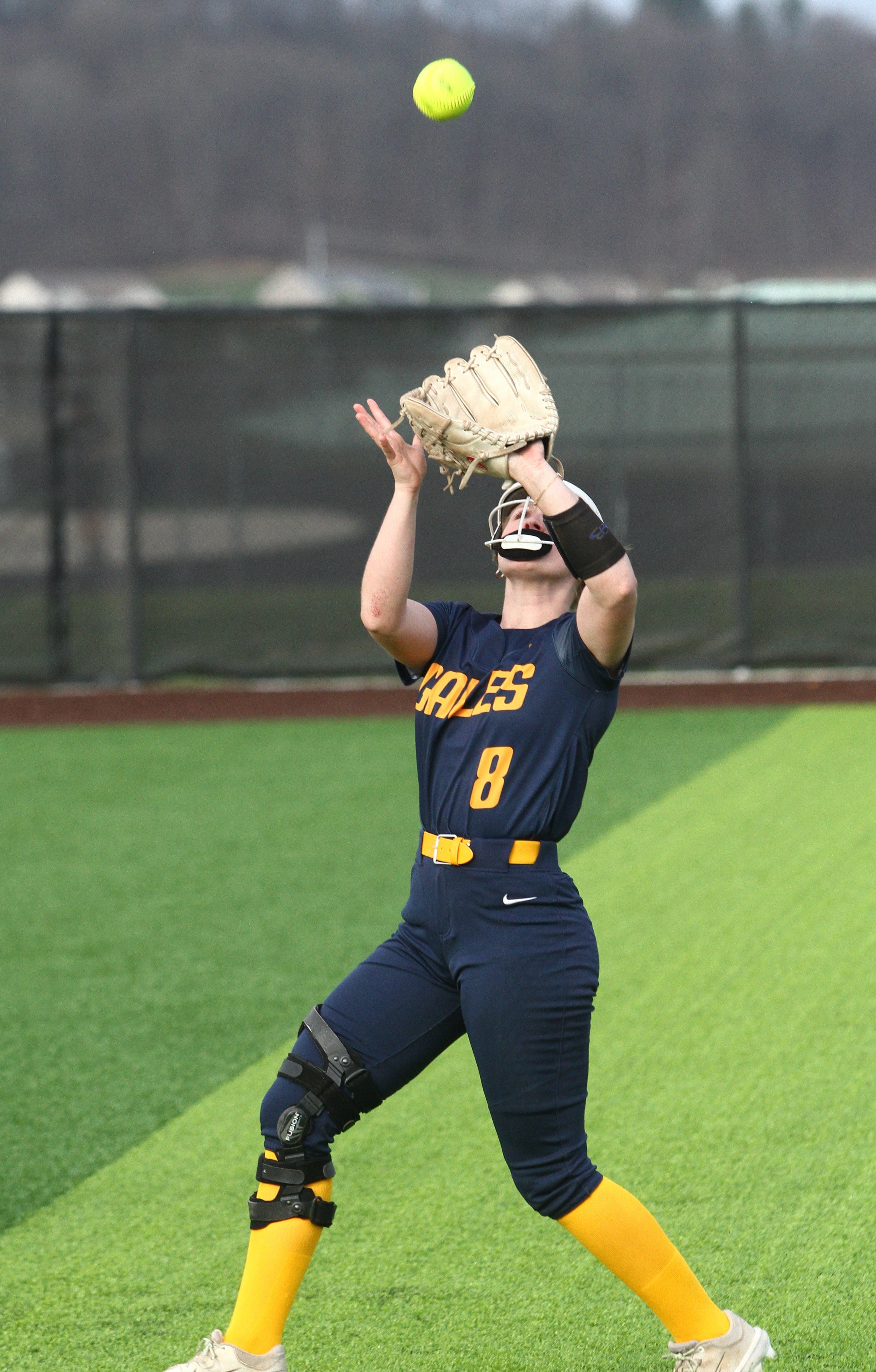 Vote now for the Eagle-Gazette High School Athlete of the Week