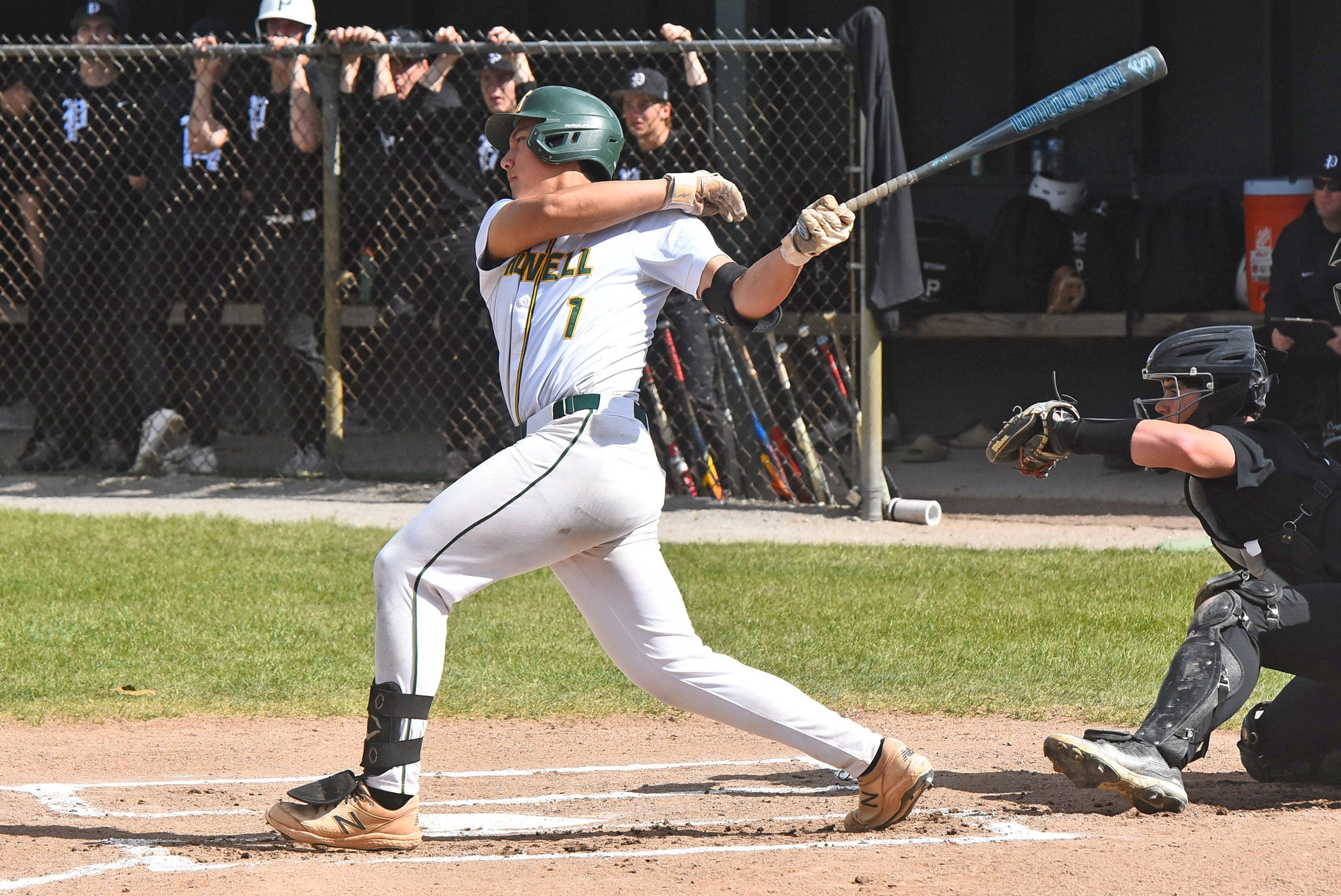 Hitter with shot at .500 highlights Livingston County baseball leaders