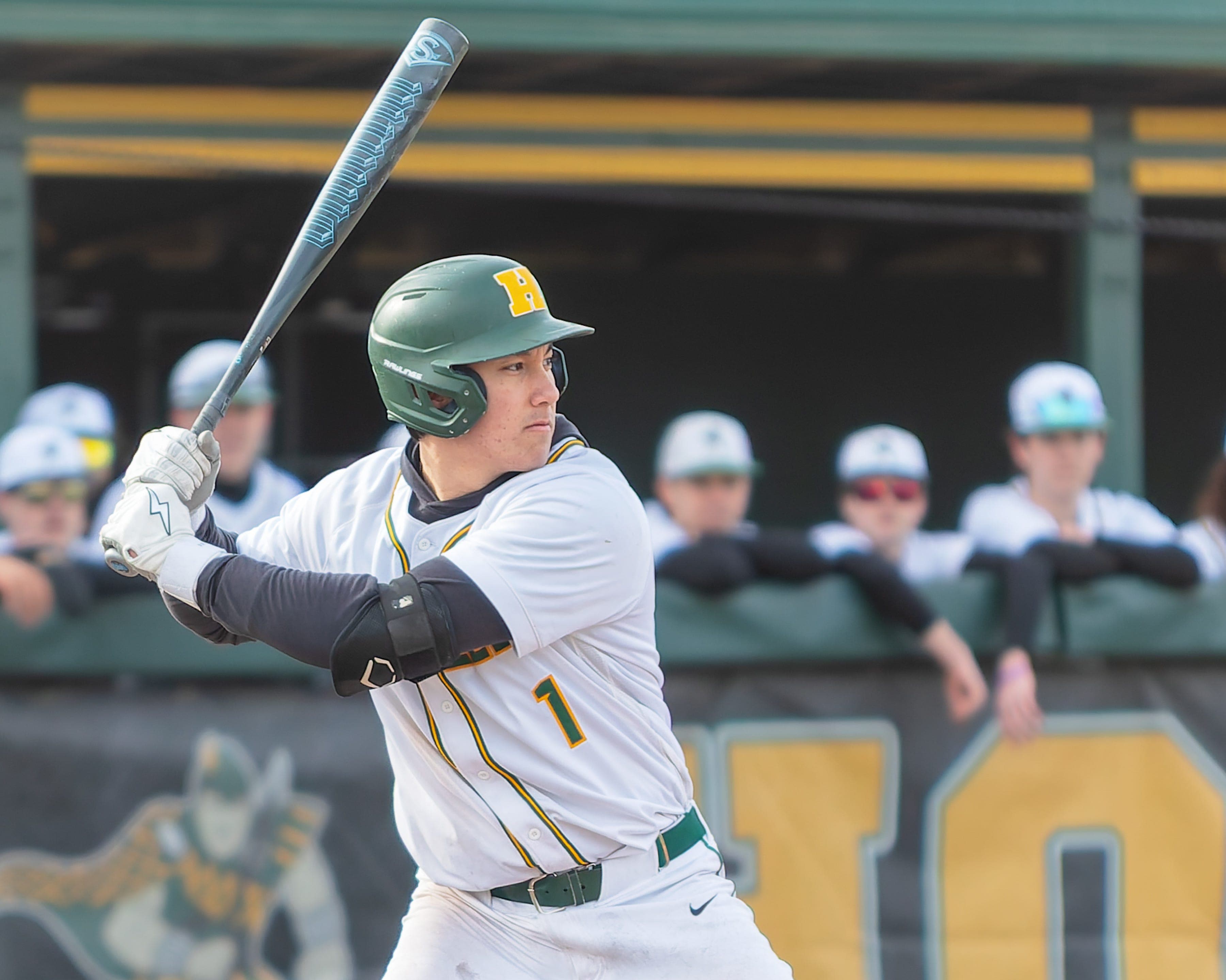 Livingston County baseball batting, pitching leaders through April