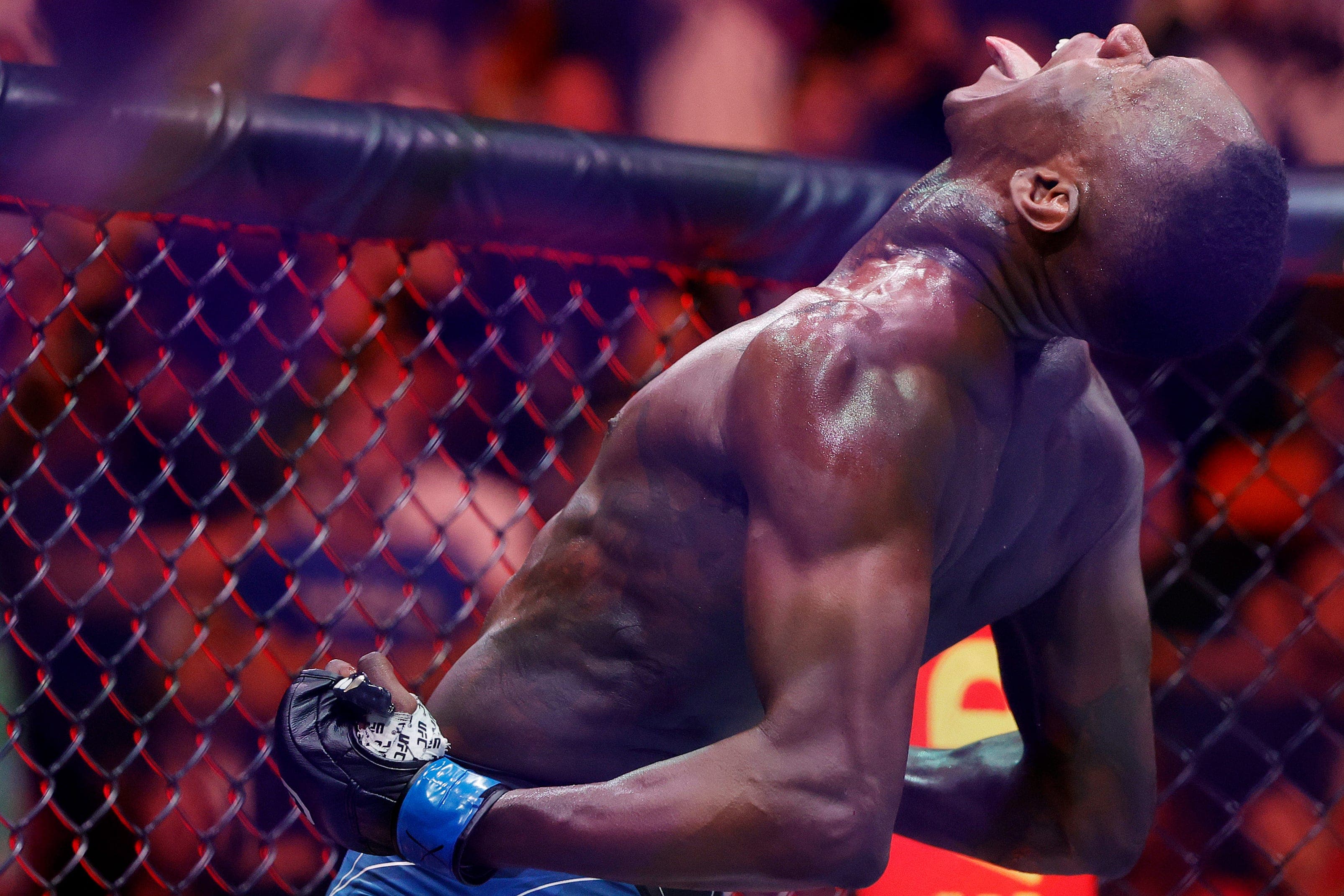 UFC Fight Night 271 pre-event facts: Can Israel Adesanya bounce back?