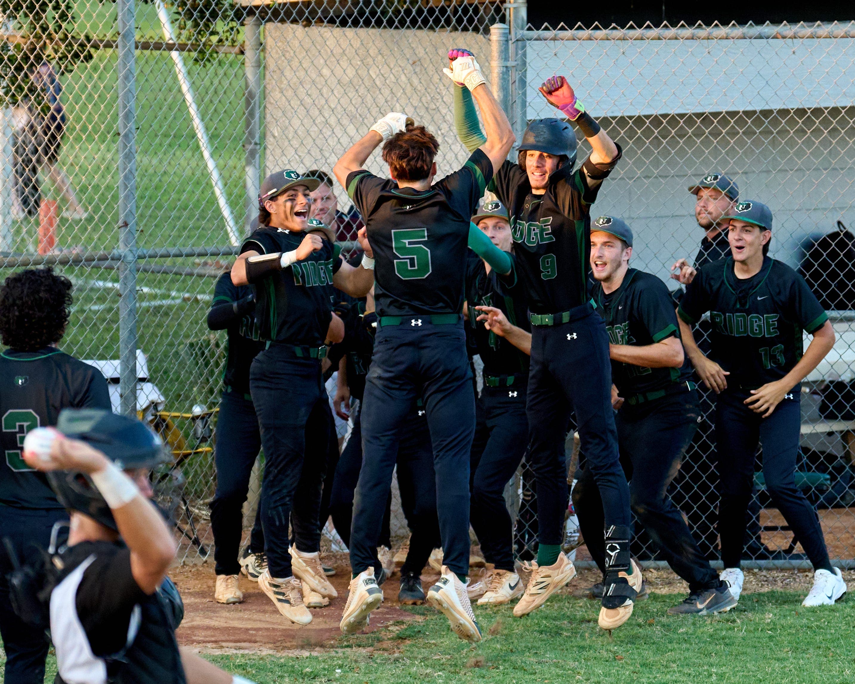 Small Palmetto Ridge baseball roster making big FHSAA playoff waves