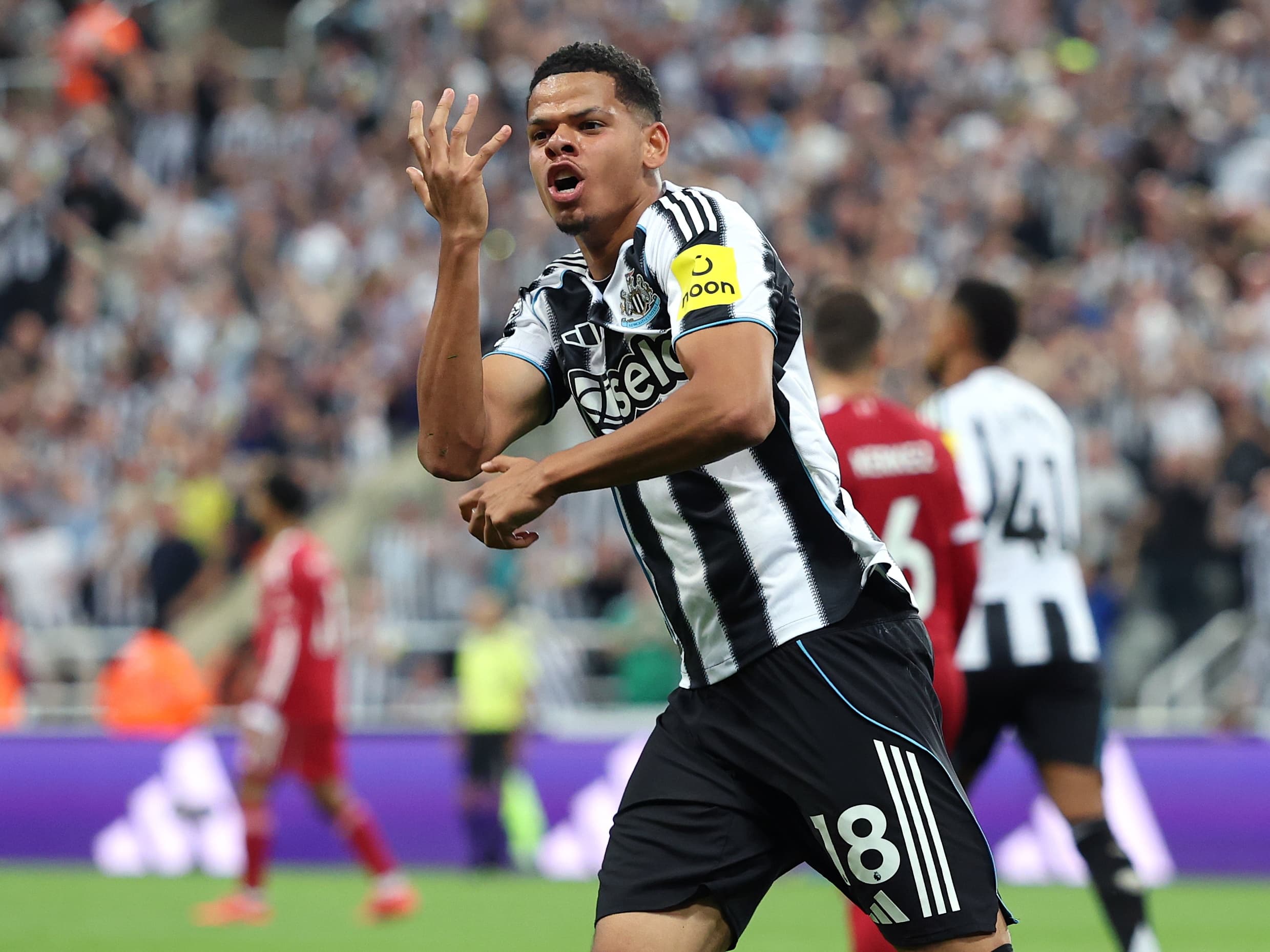 Latest: Newcastle United 1 Brighton & Hove Albion 0