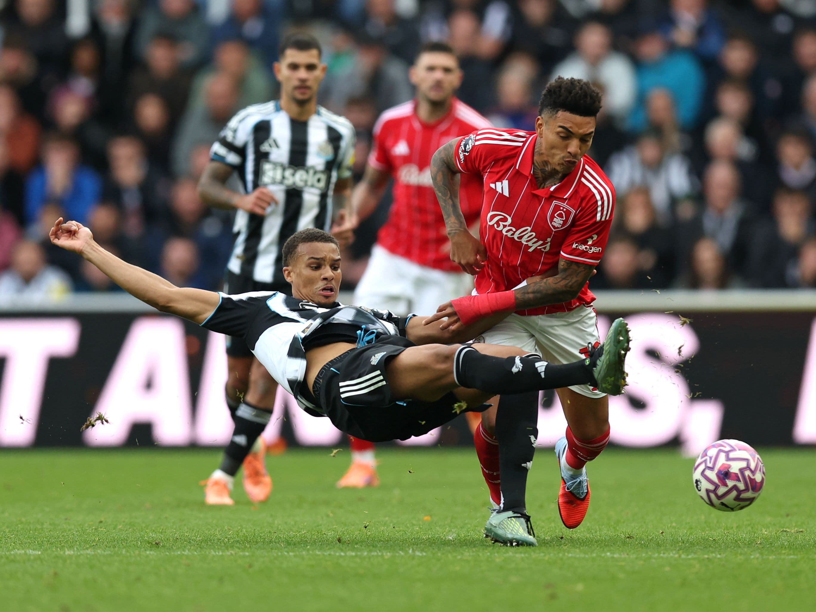 Nottingham Forest vs Newcastle United: Test your knowledge in our pre-match quiz