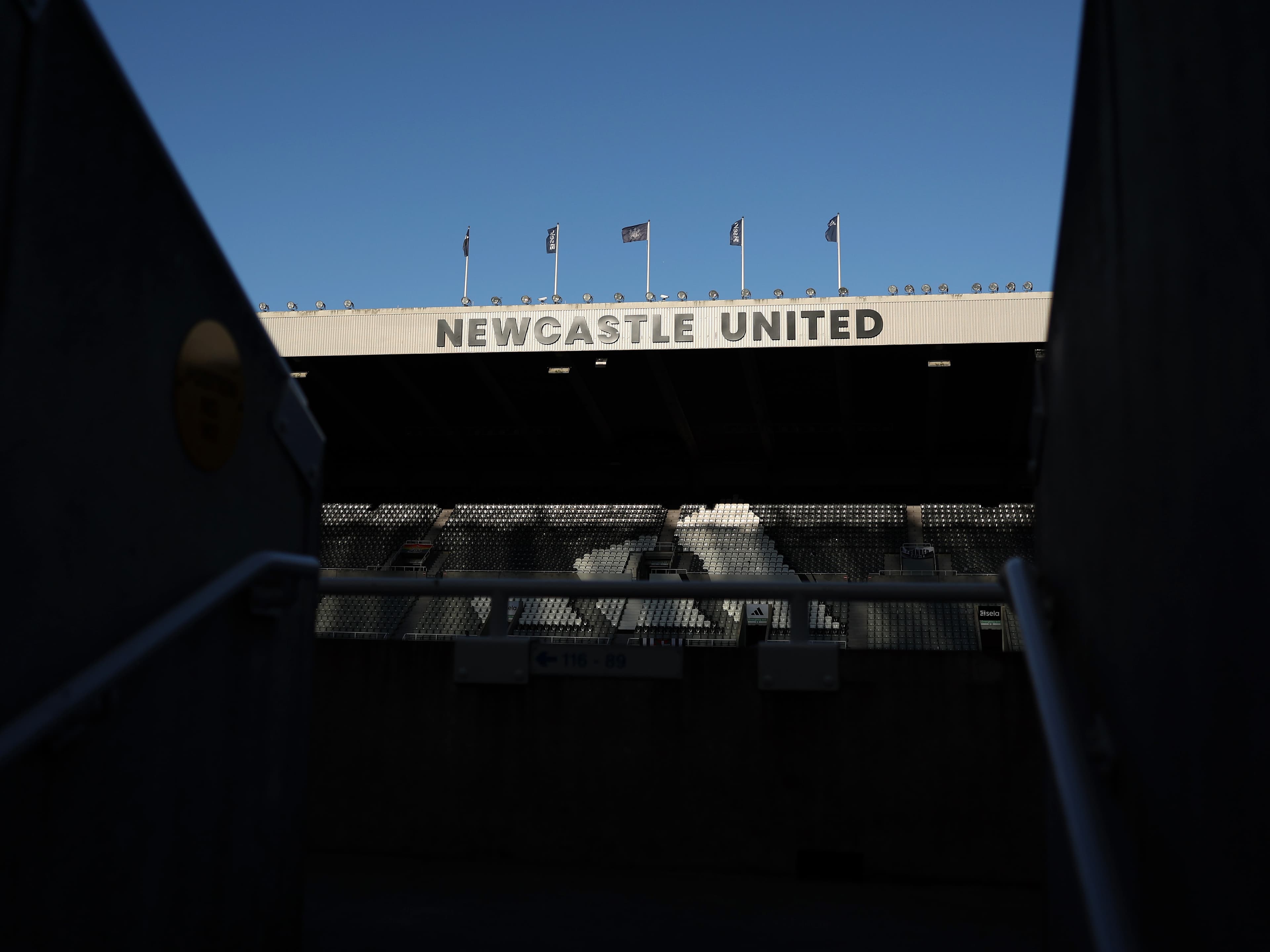 How to watch Newcastle United vs Brighton and Hove Albion: TV details, kick-off time and team news