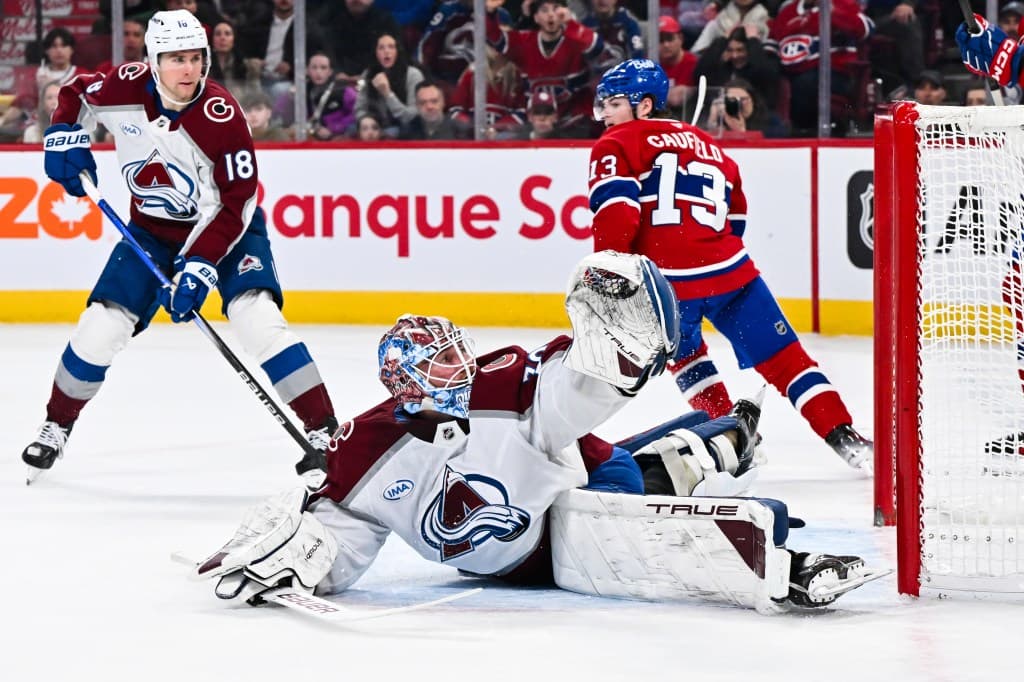 Will the Hurricanes Ever Lose? Ranking the Final 4 NHL Playoff Teams