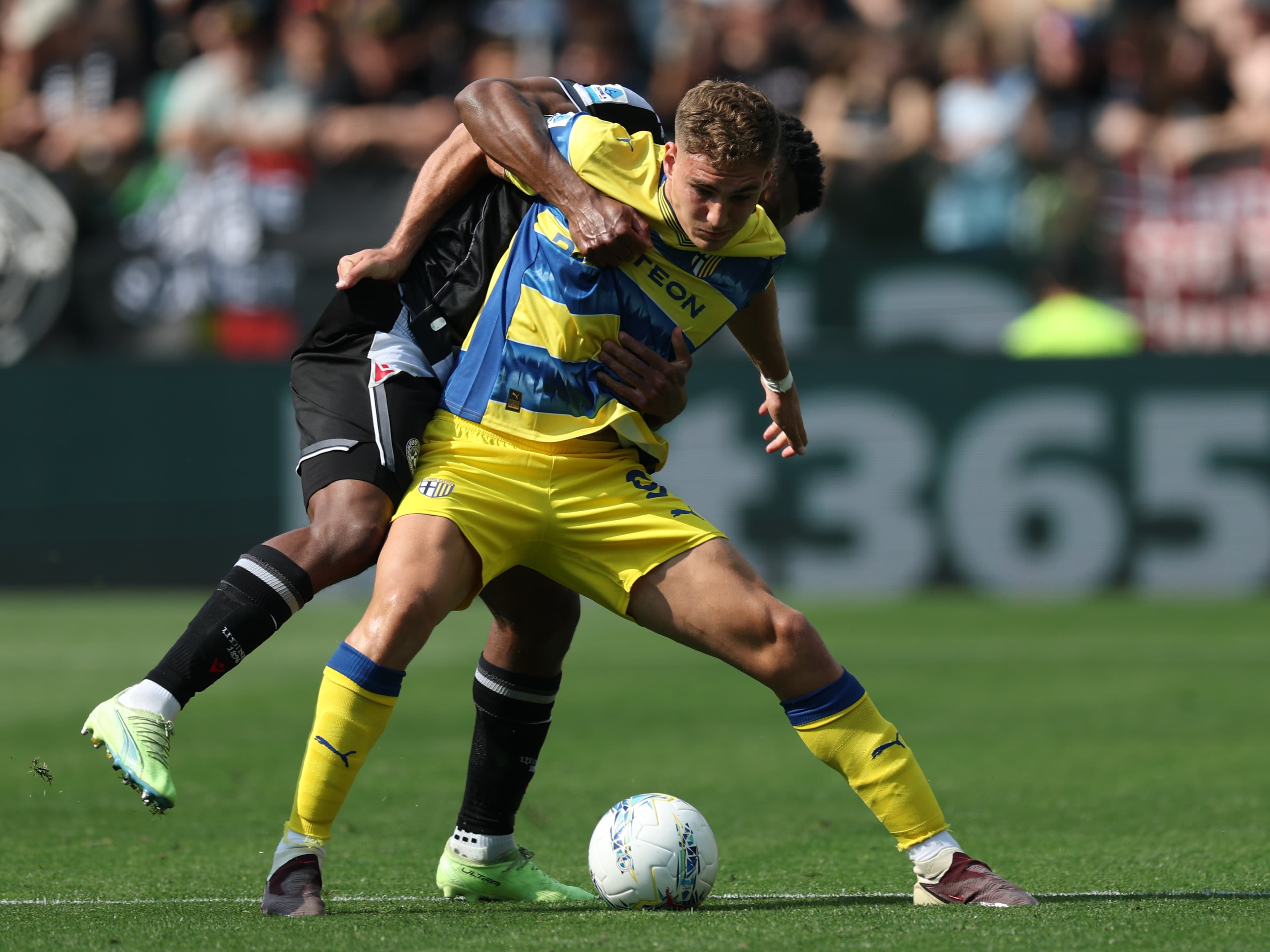 🔥 Serie A discovers Elphege, first goal is 😲 Pellegrino off at 45': why