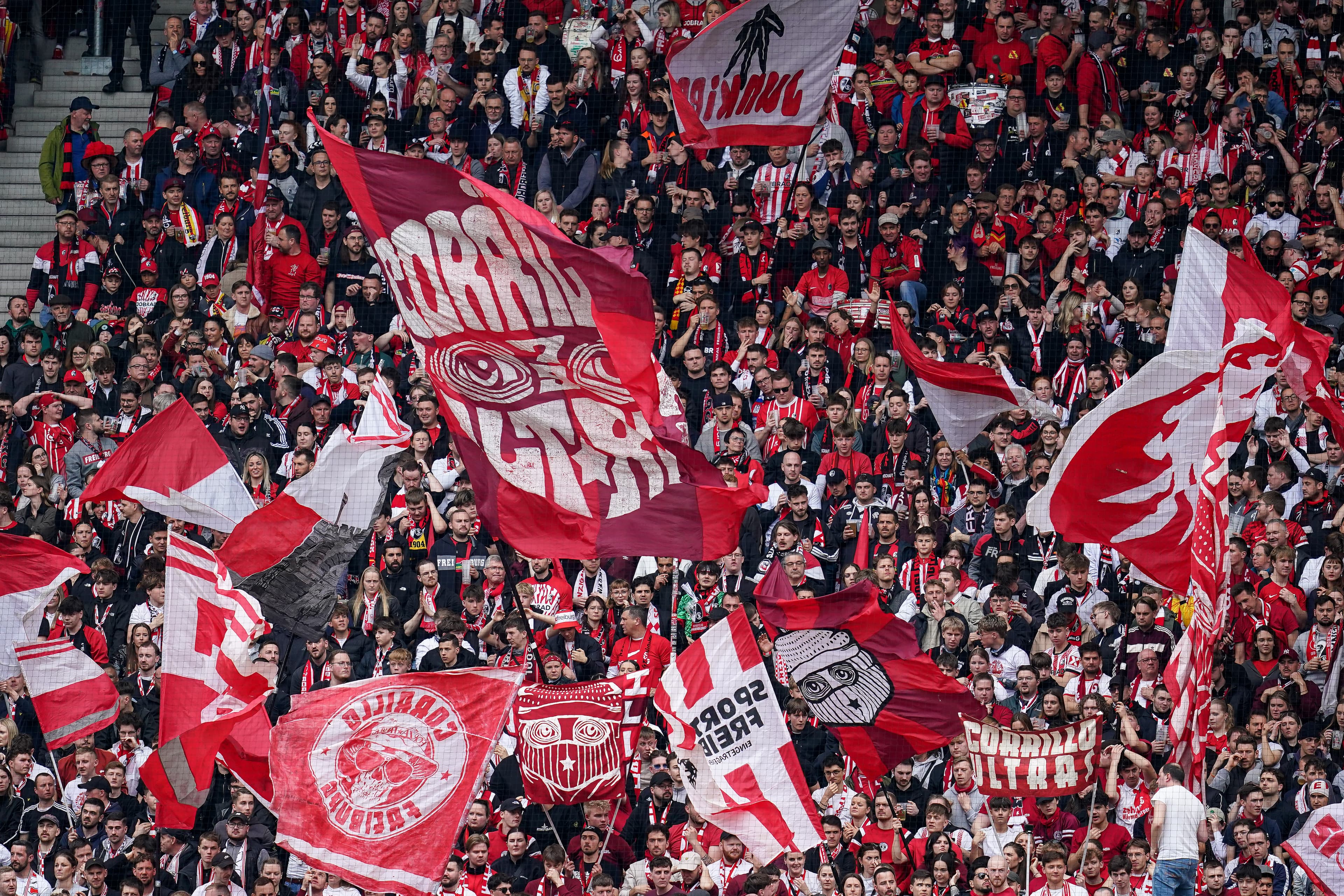 🎥 "Bayern are here": thousands of fans greet Madrid