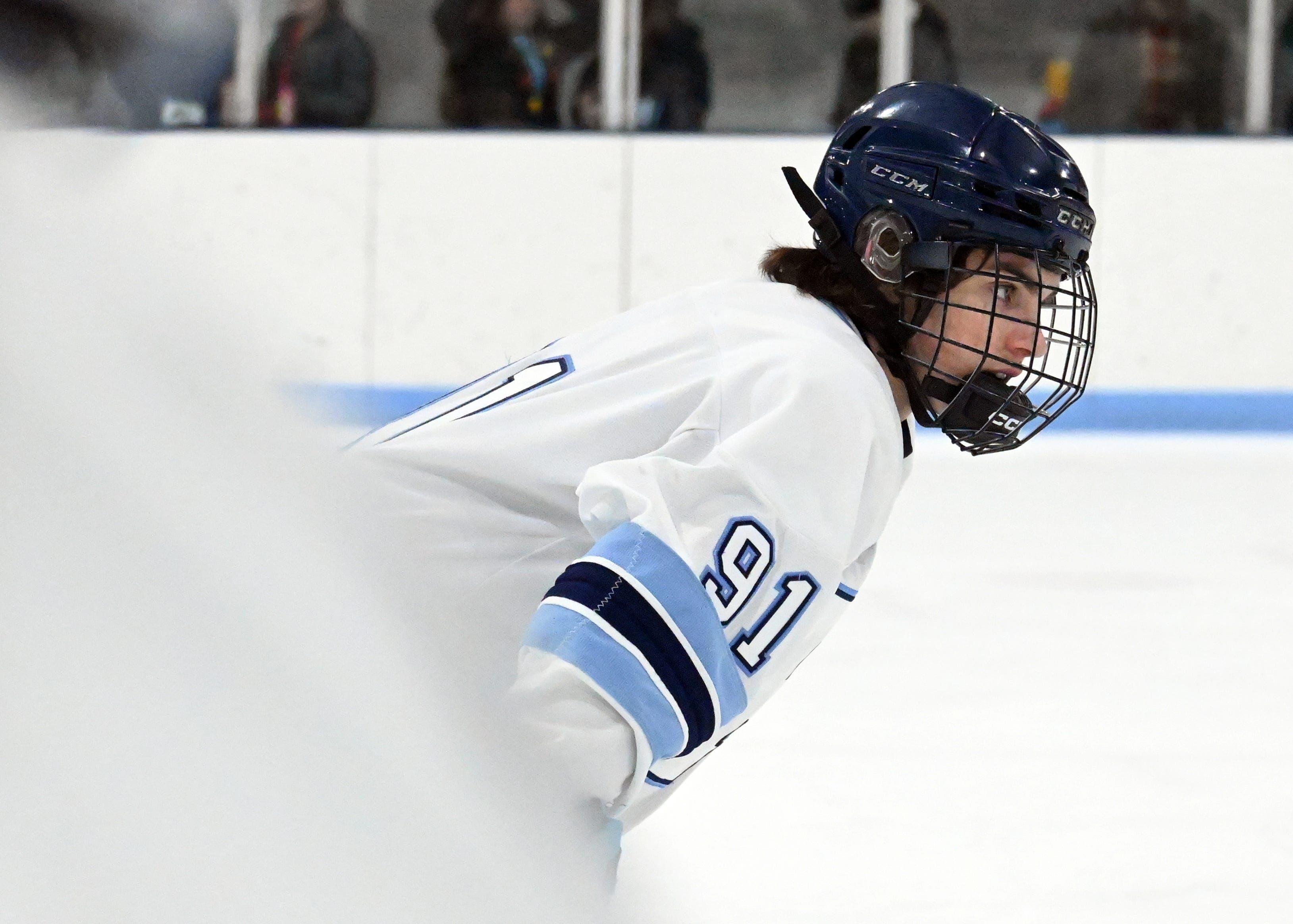 Petoskey hockey rakes in All-Big North honors from league