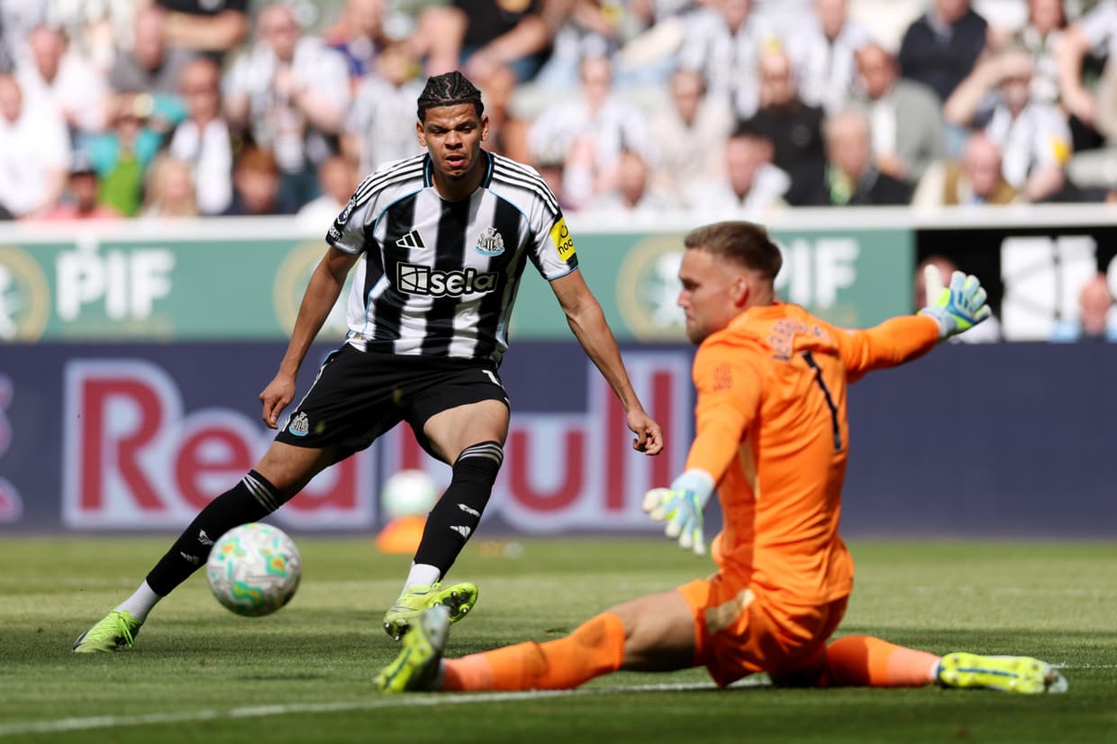 Newcastle end losing run with win over Brighton