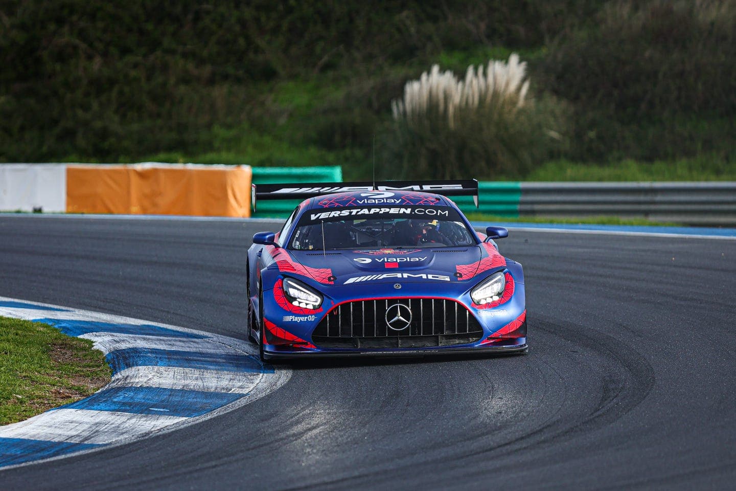 Max Verstappen Second NLS Win Was Disqualified for Breach of Tire Rule