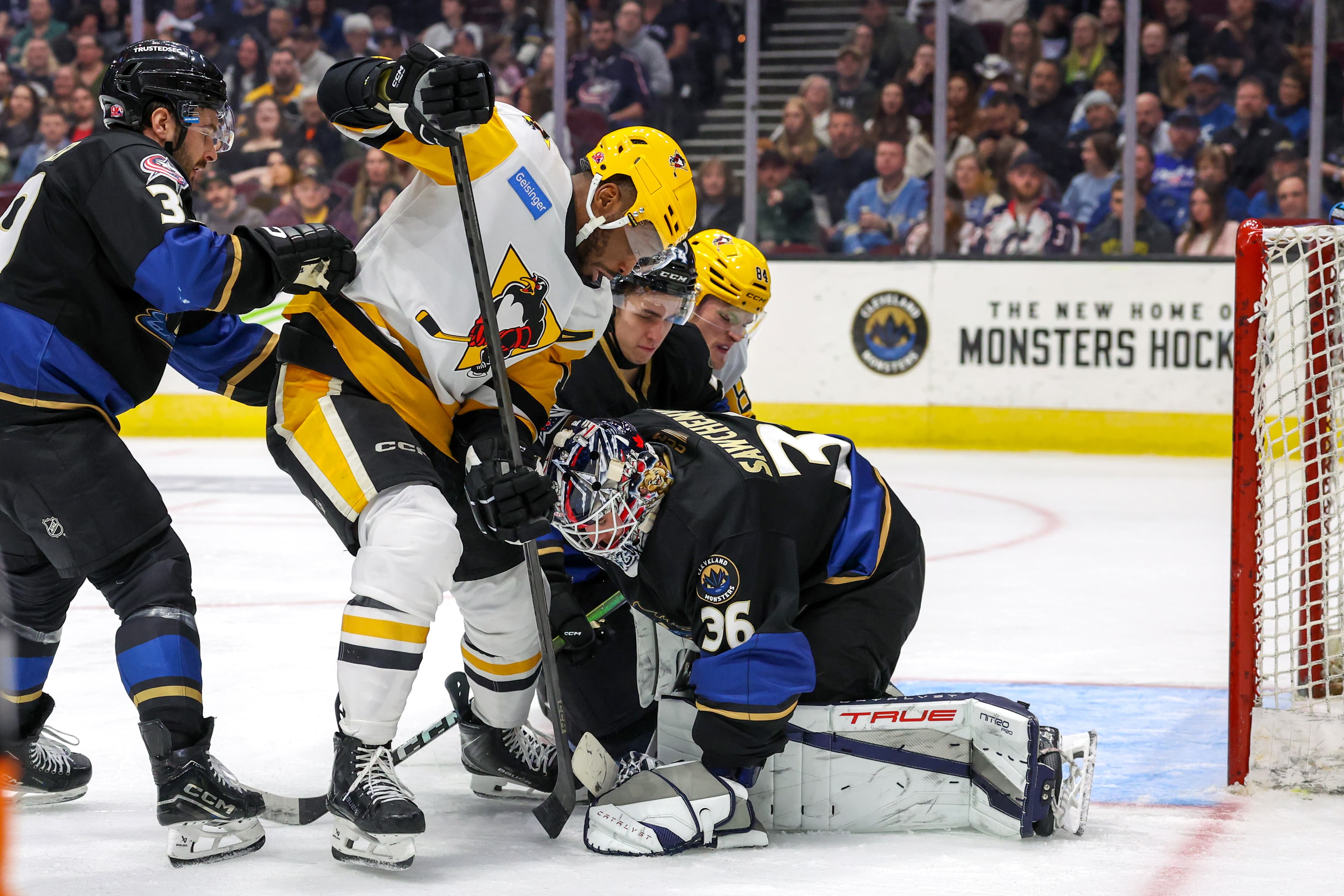 Wilkes Weekly: Winning continues