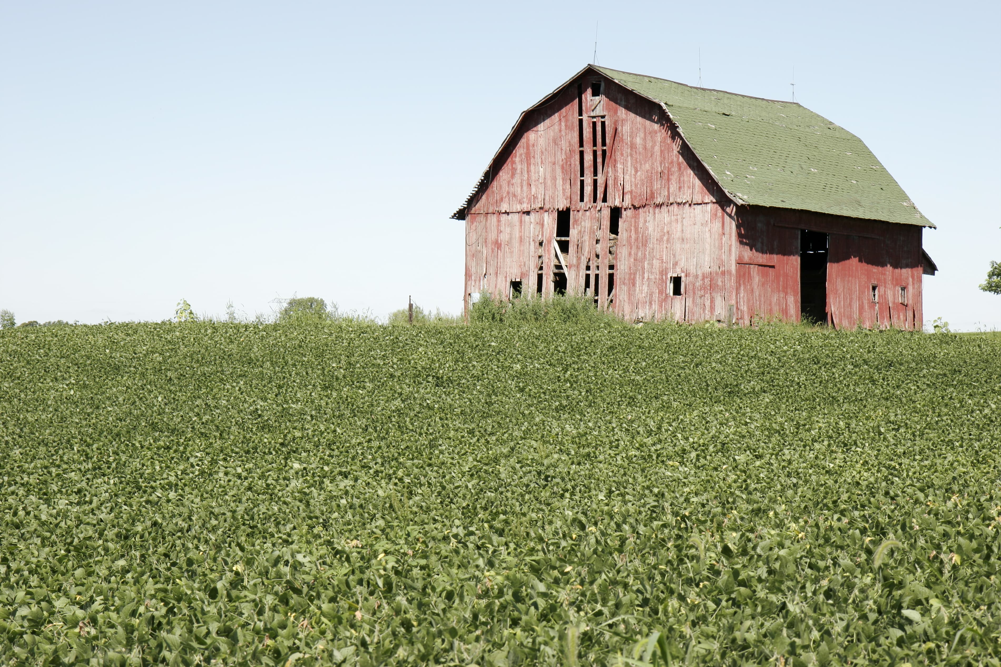 The Link Farm: 4.24.26