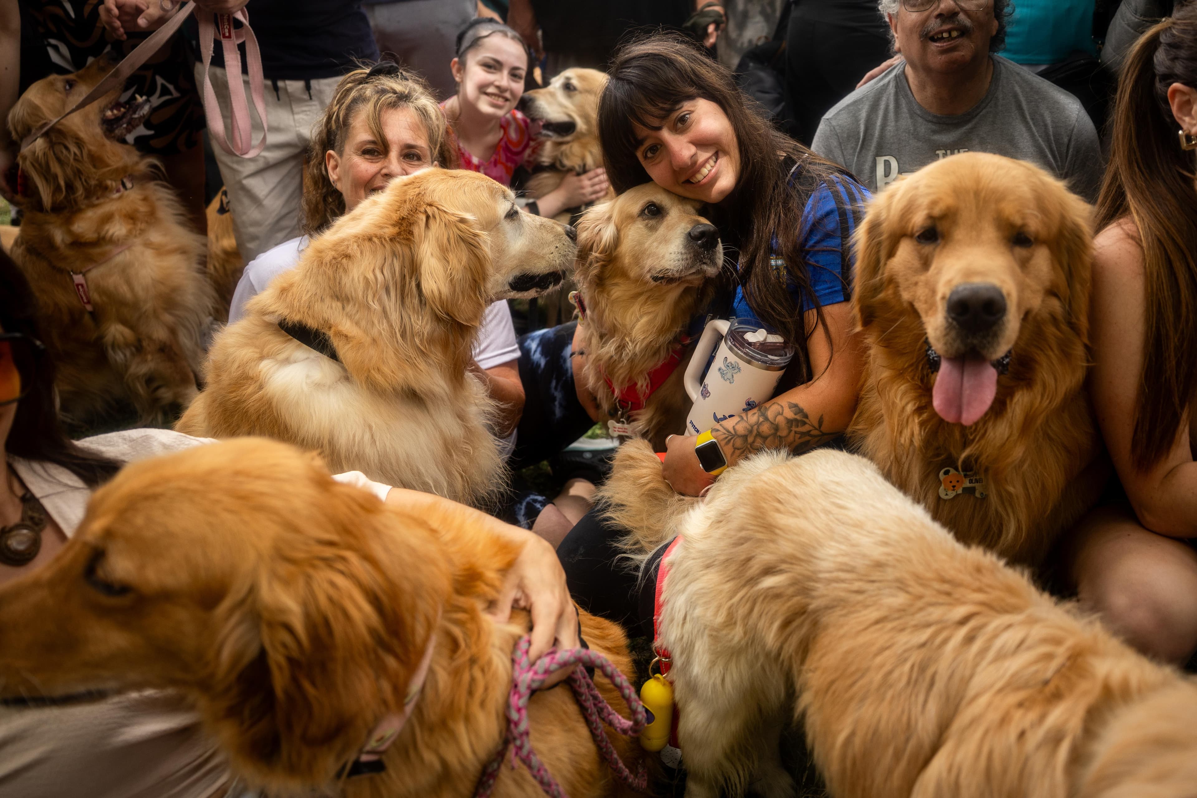 Open Thread: May 23, 2026