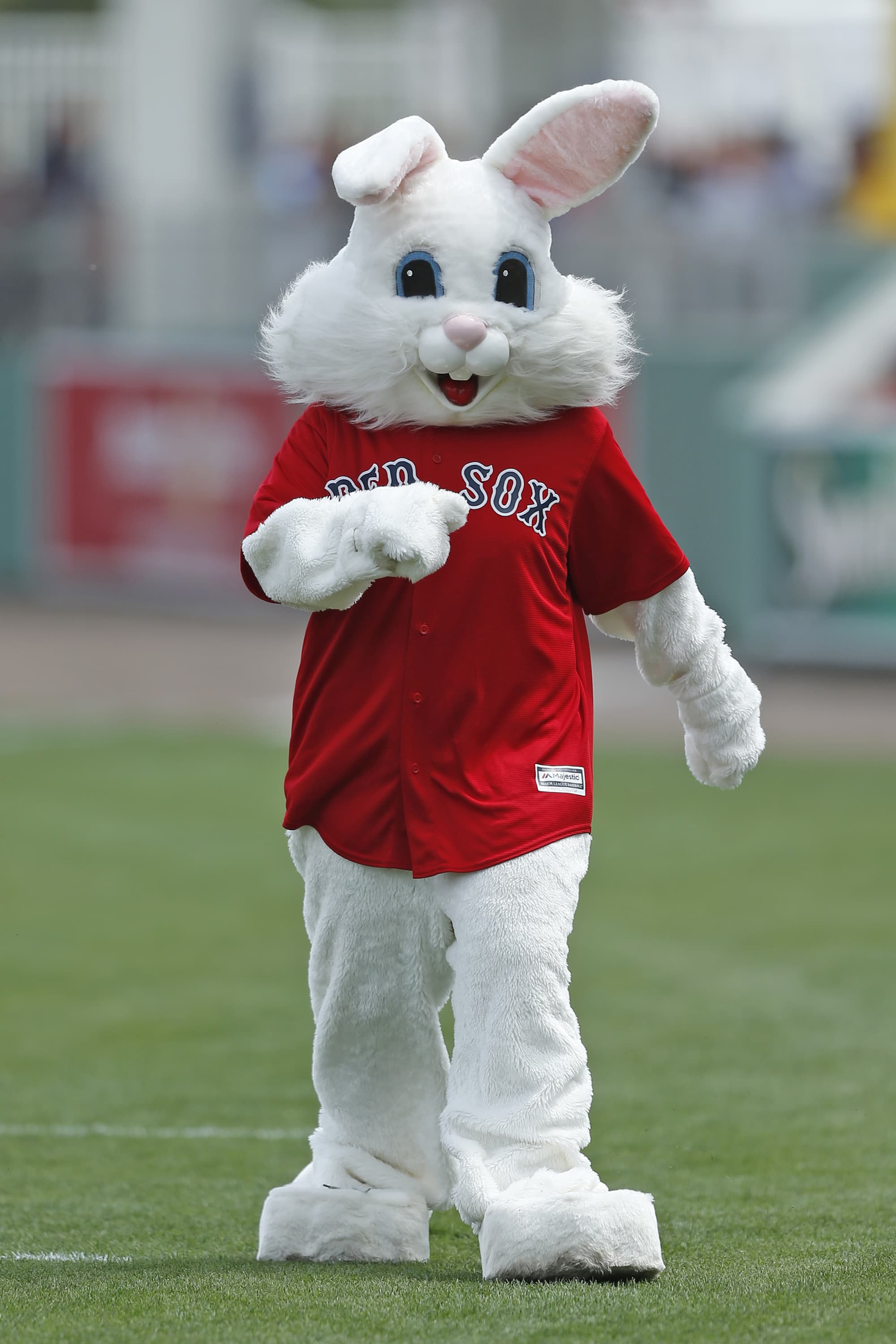 Easter Elephant Has Been Hiding Wins