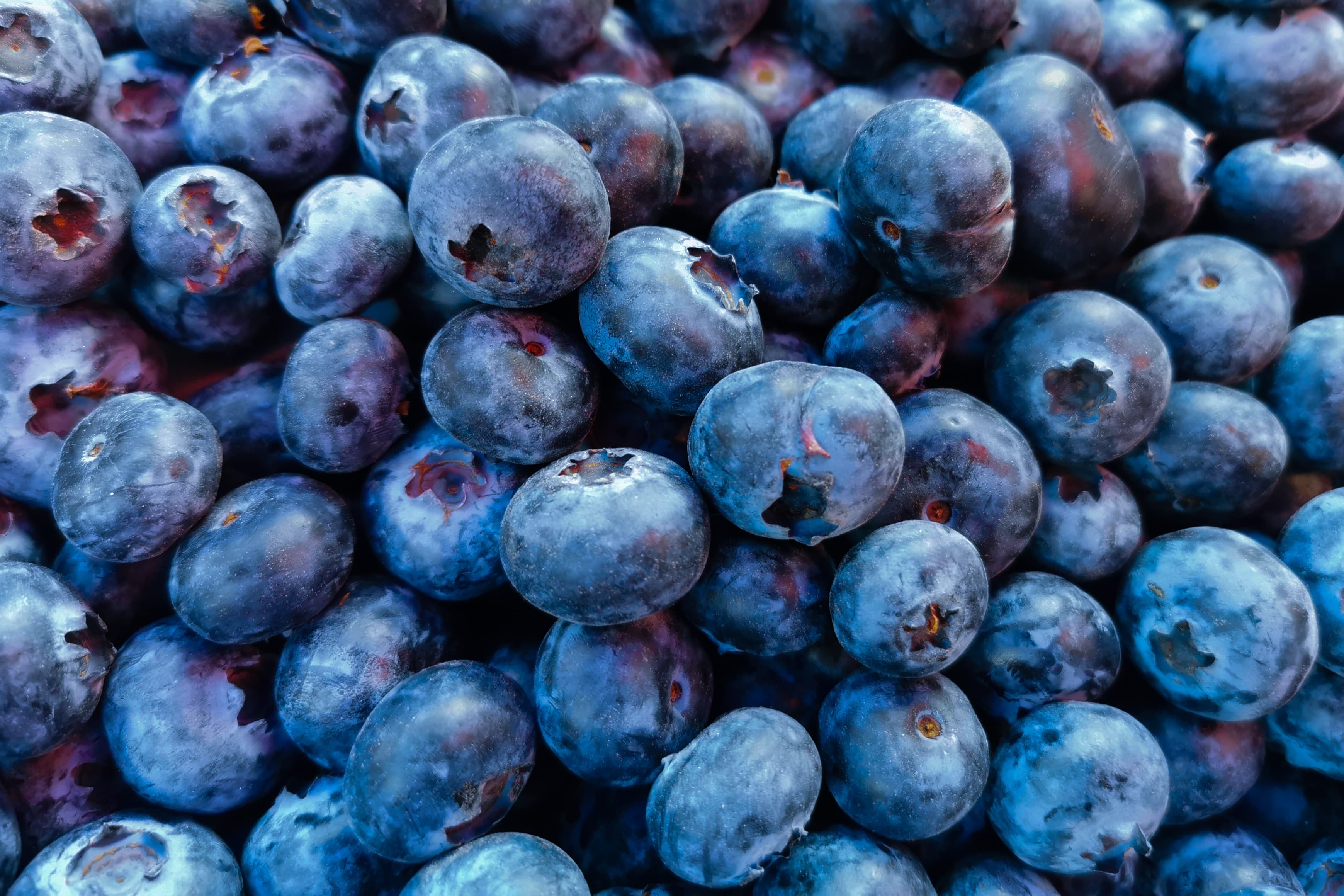 Minor league update for 4/10/26