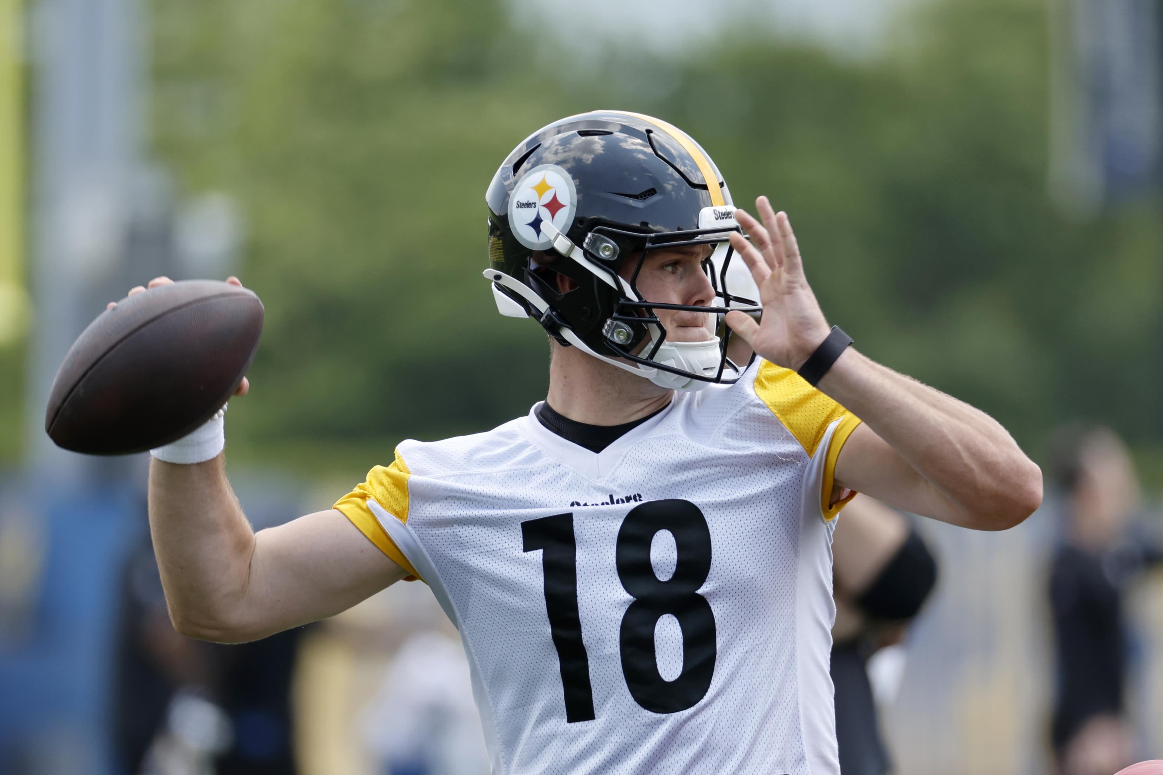 NFL insider predicts Steelers will cut Will Howard