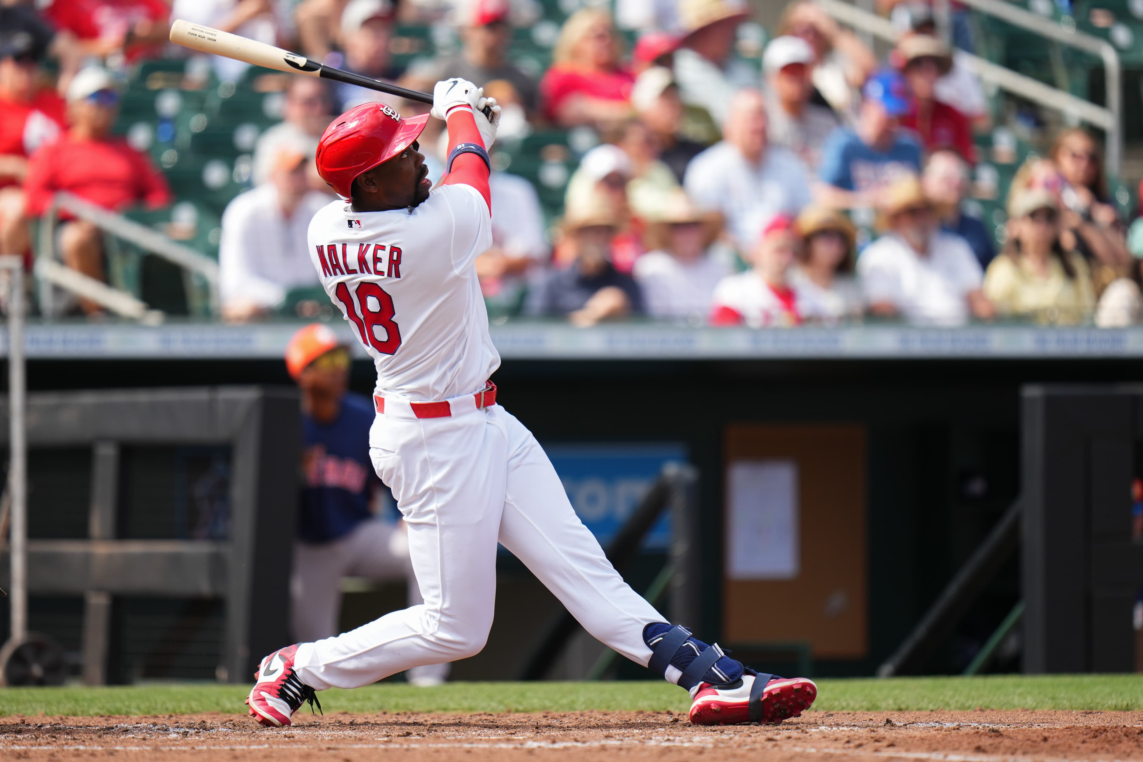 Jordan Walker Homers, But Rays Hammer Dustin May, Beat Cardinals 11-7