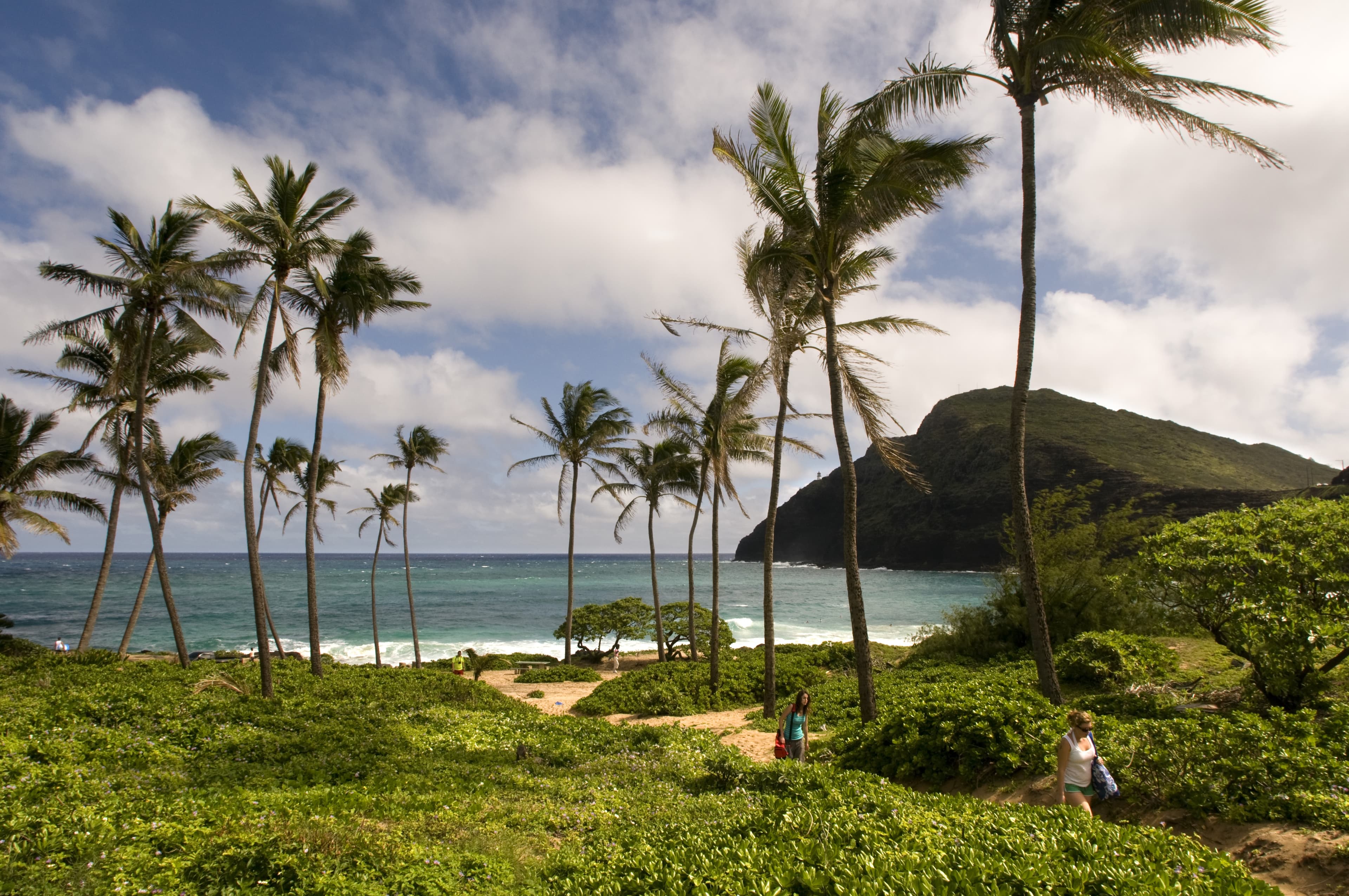 Acrobatics & Tumbling: No Island Rust for Oregon.