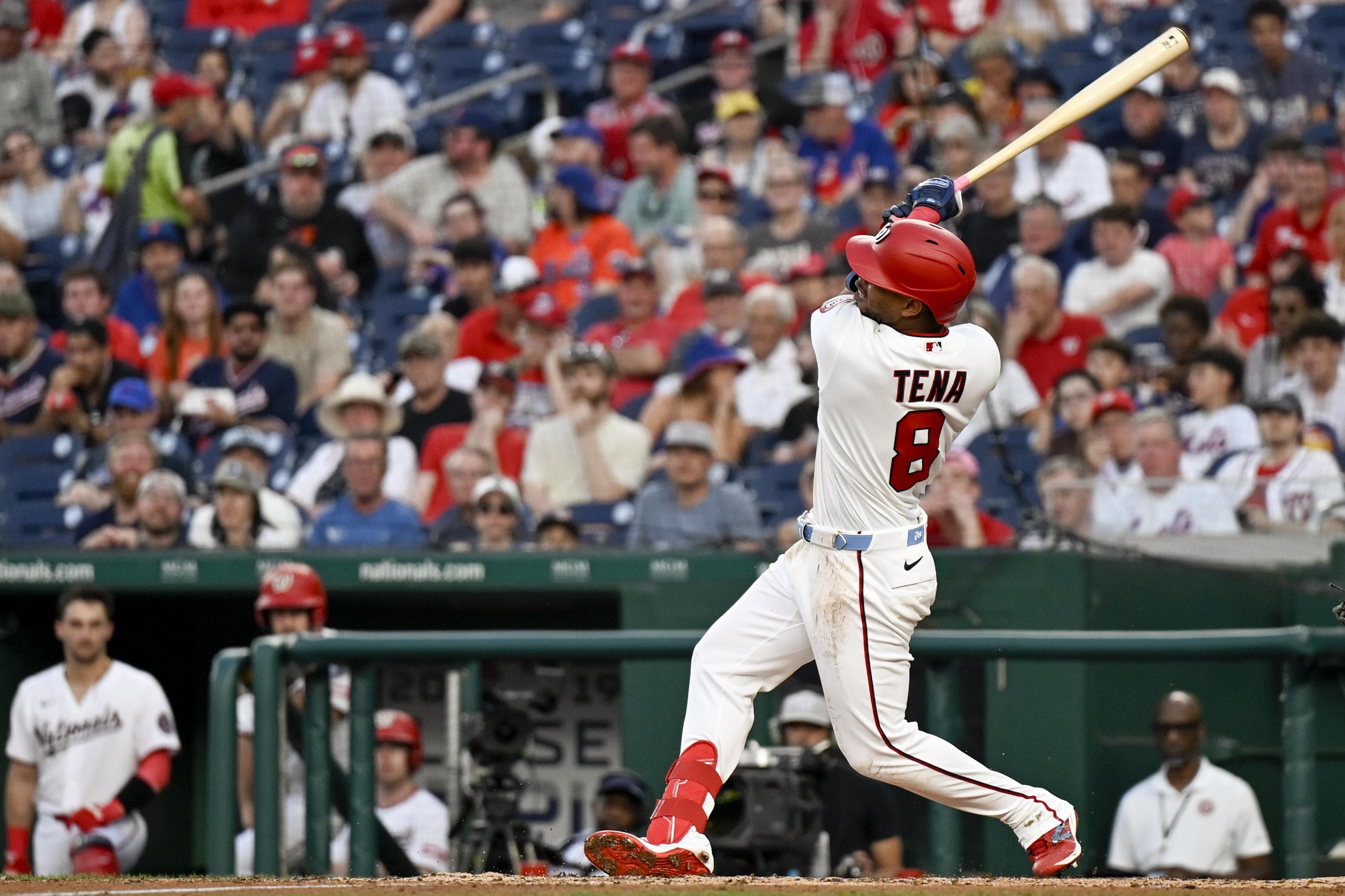 Jose Tena packs a big punch in a small frame for the Washington Nationals