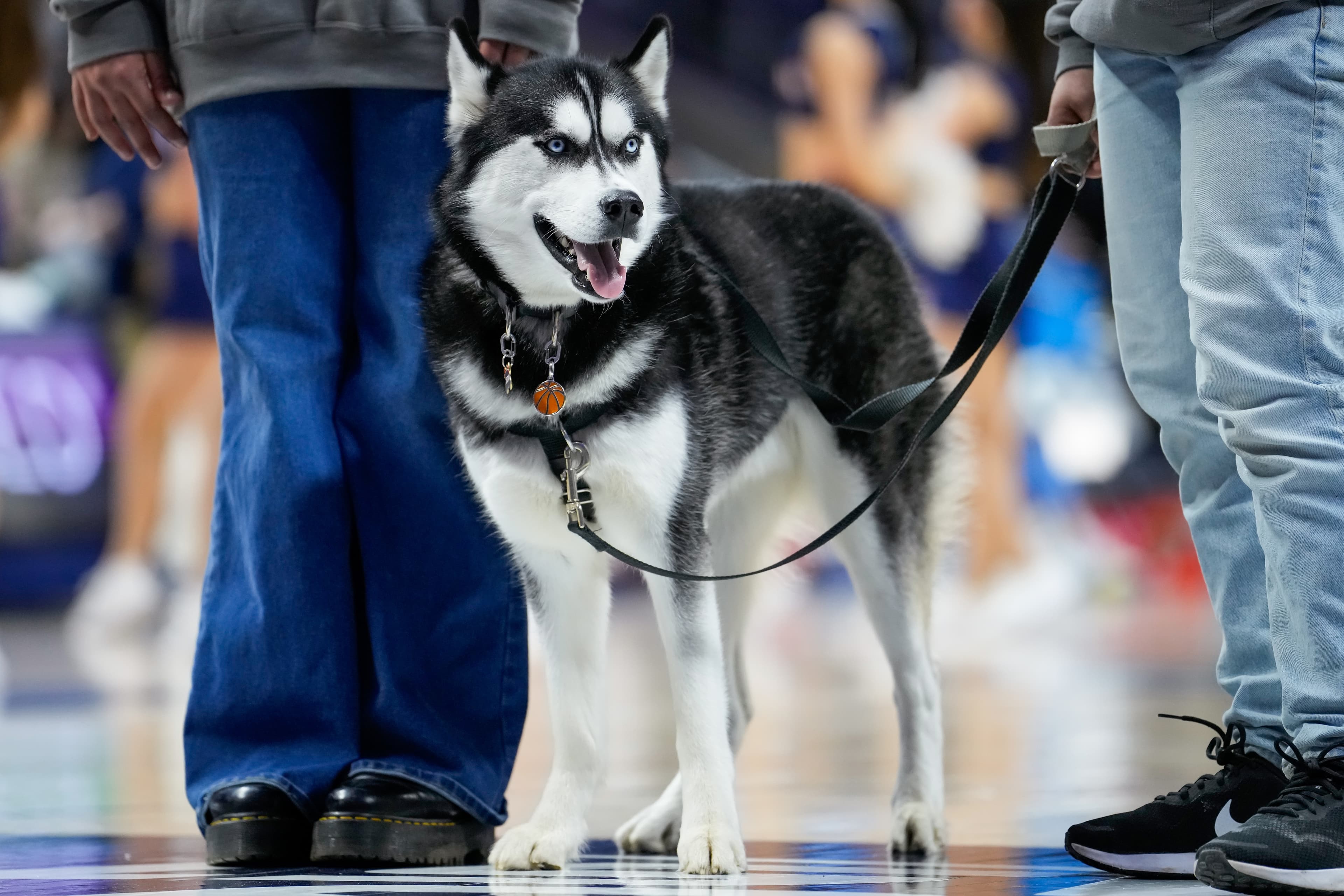 Your NCAA Women’s Basketball Tournament Viewing Guide: March 23