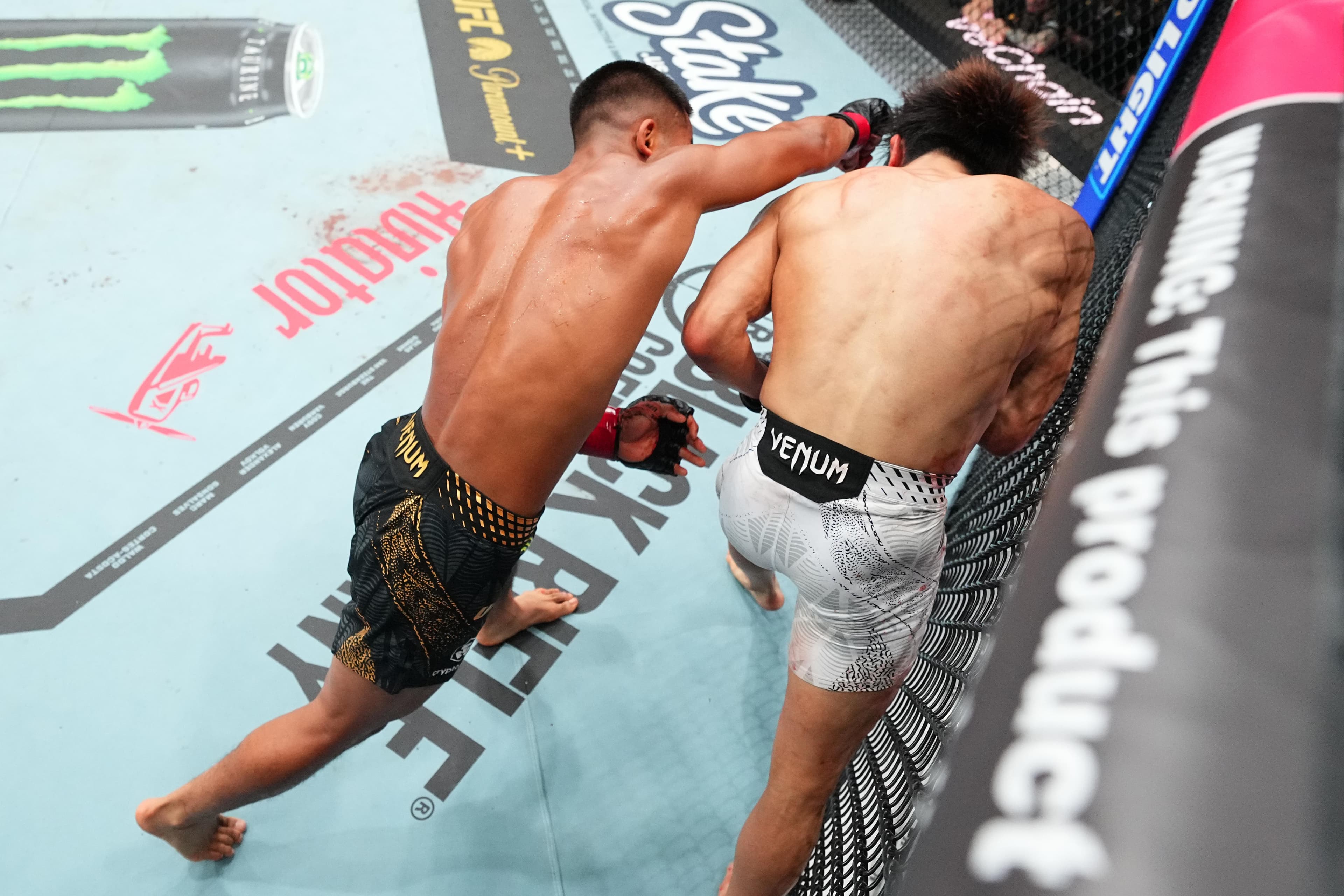 UFC 328 Highlights! Van Ends Taira In Epic Flyweight Title Fight