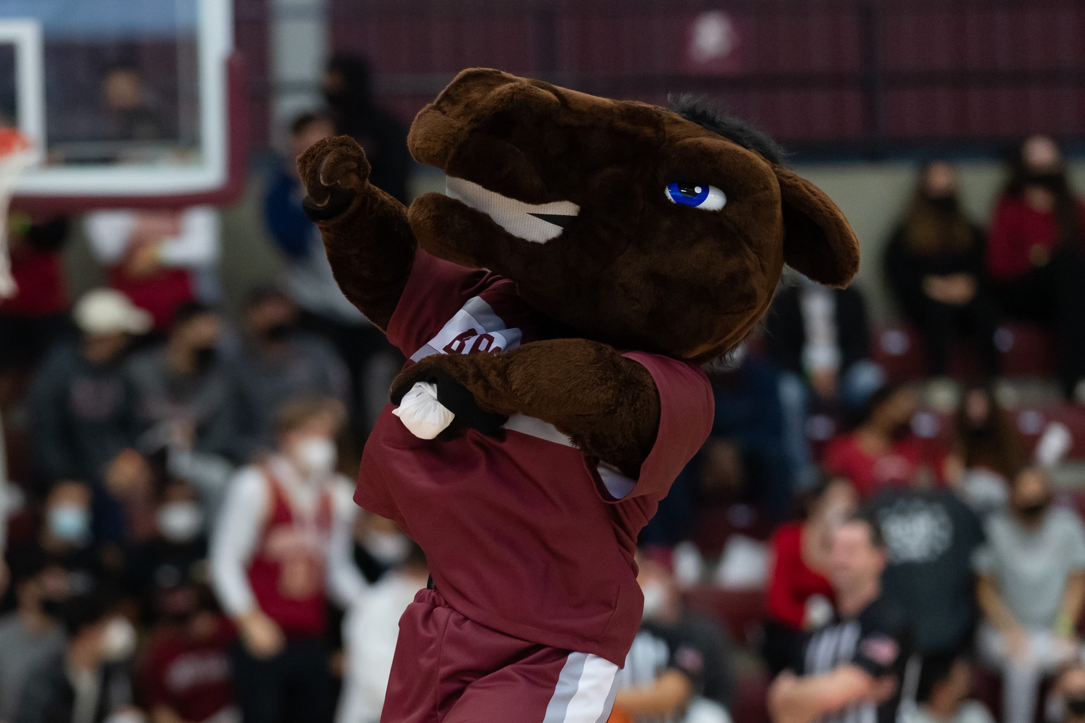 Kentucky’s Epic Comeback: Reignite ‘Sweet Liberty’ Flames in Semifinal Stakes!