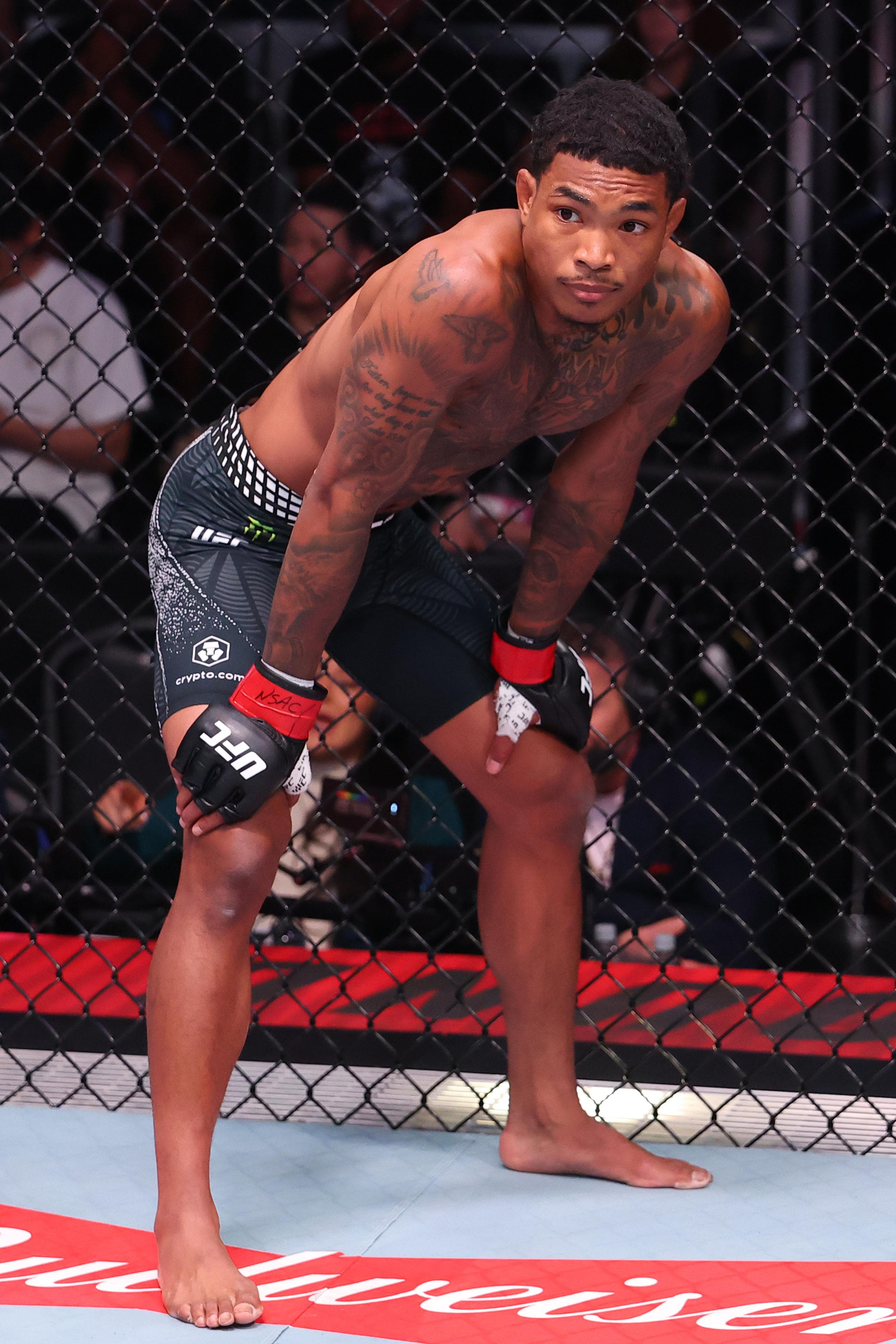 Wellmaker Talks Second Upset Loss: ‘I Gave It Everything’