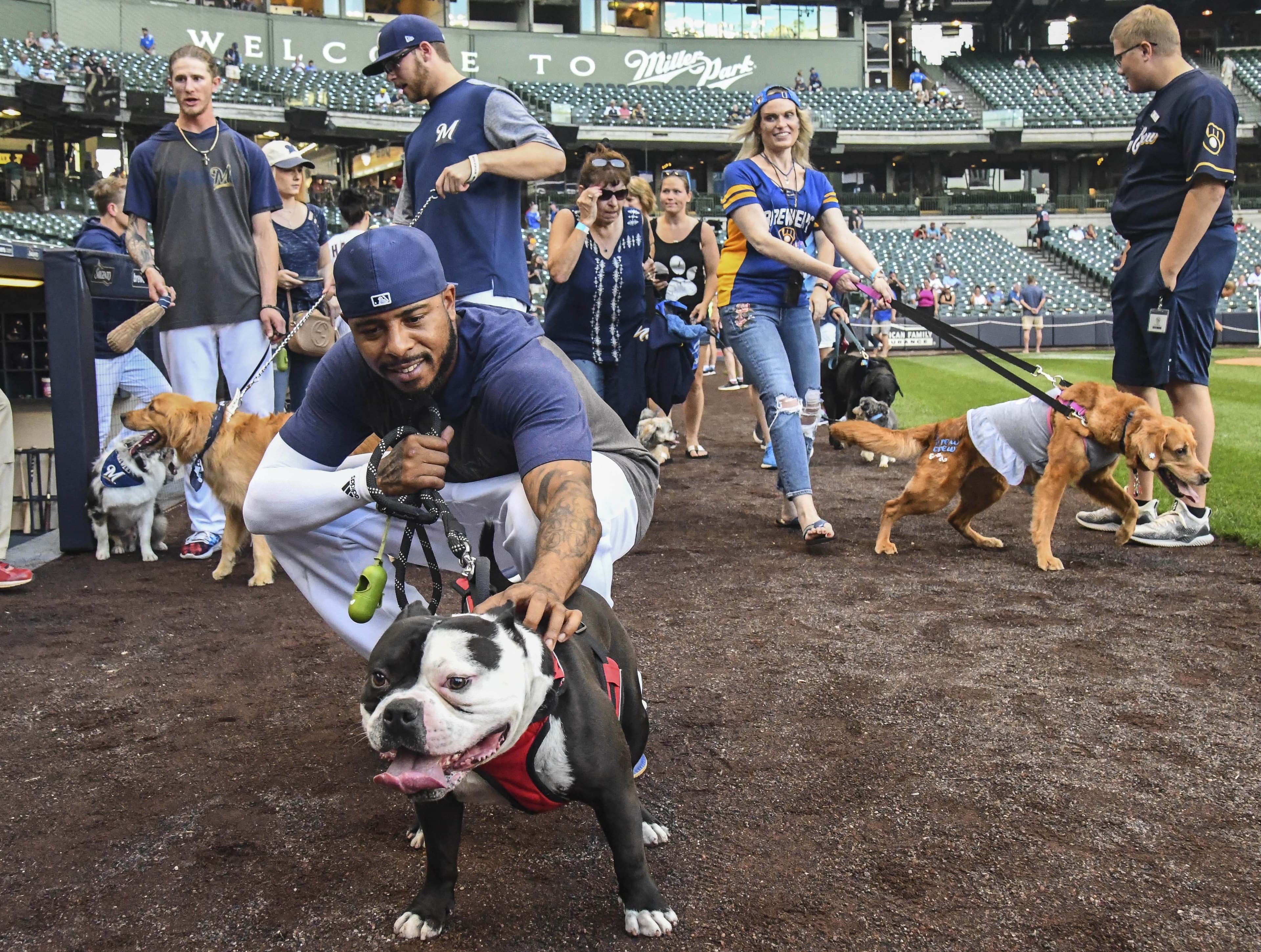 Praised by Champions: Exclusive 2026 Night Tickets for Ultimate F1 Enthusiasts!