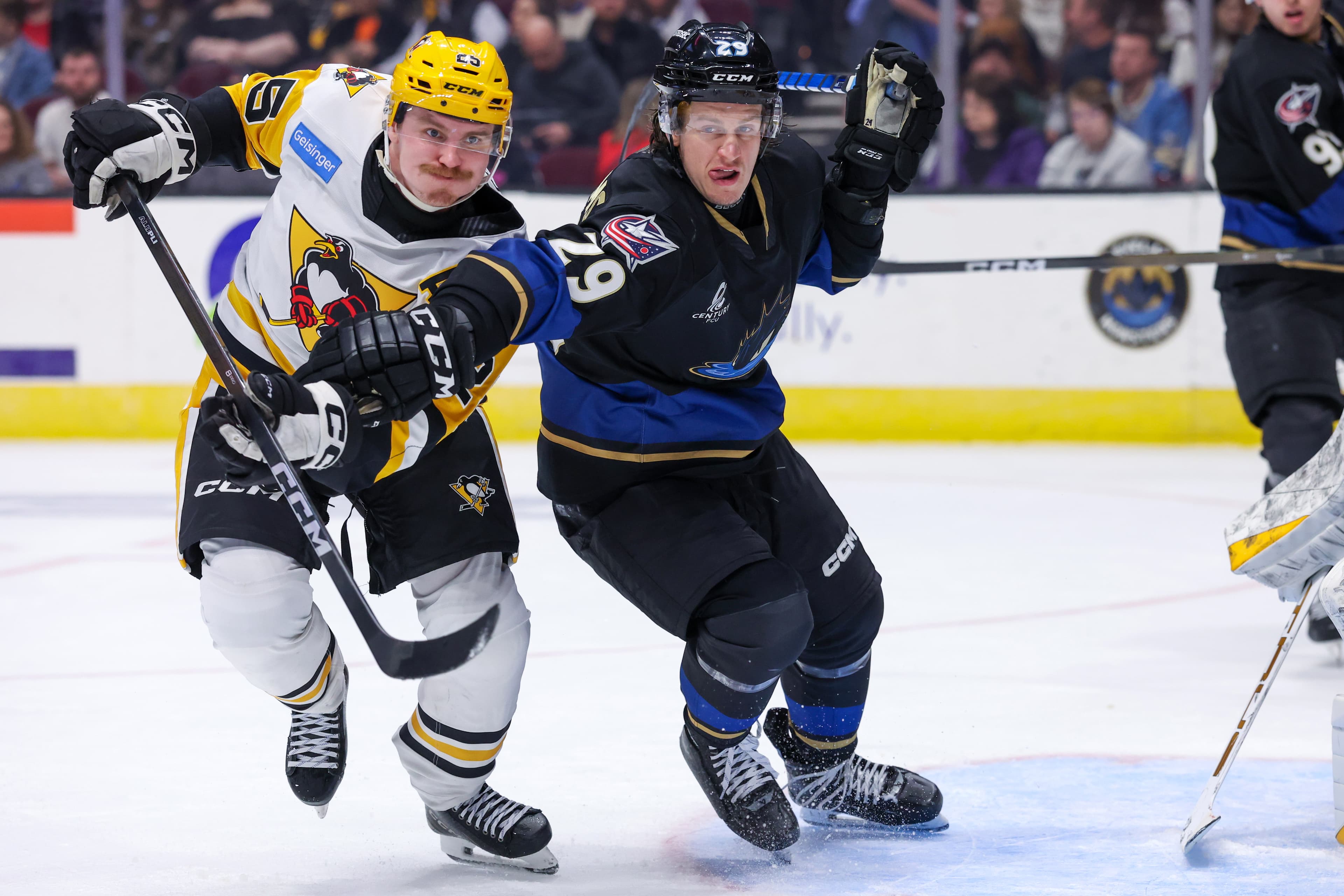 Wilkes Weekly: On a roll