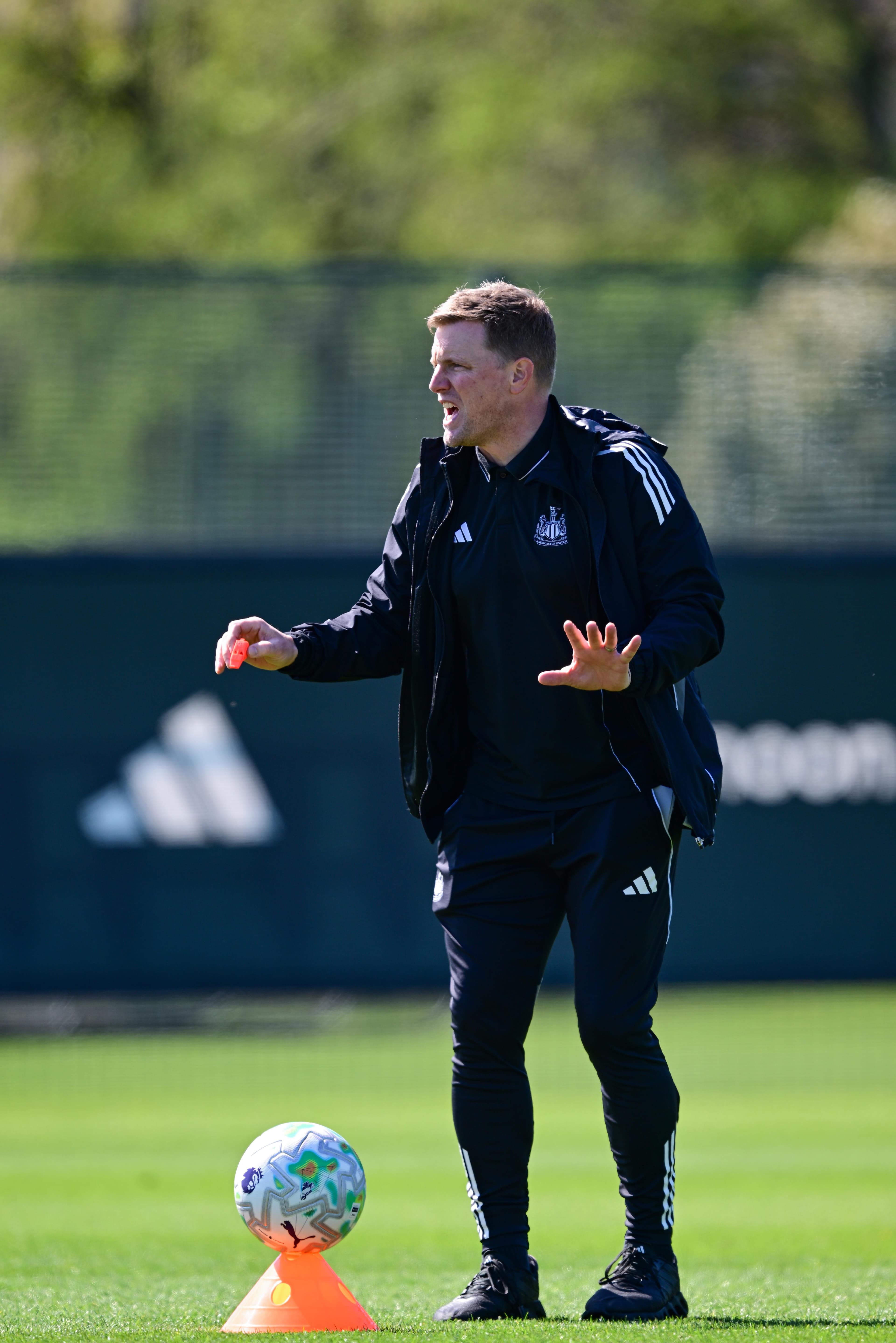 Newcastle vs. Brighton — Team News & Match Preview