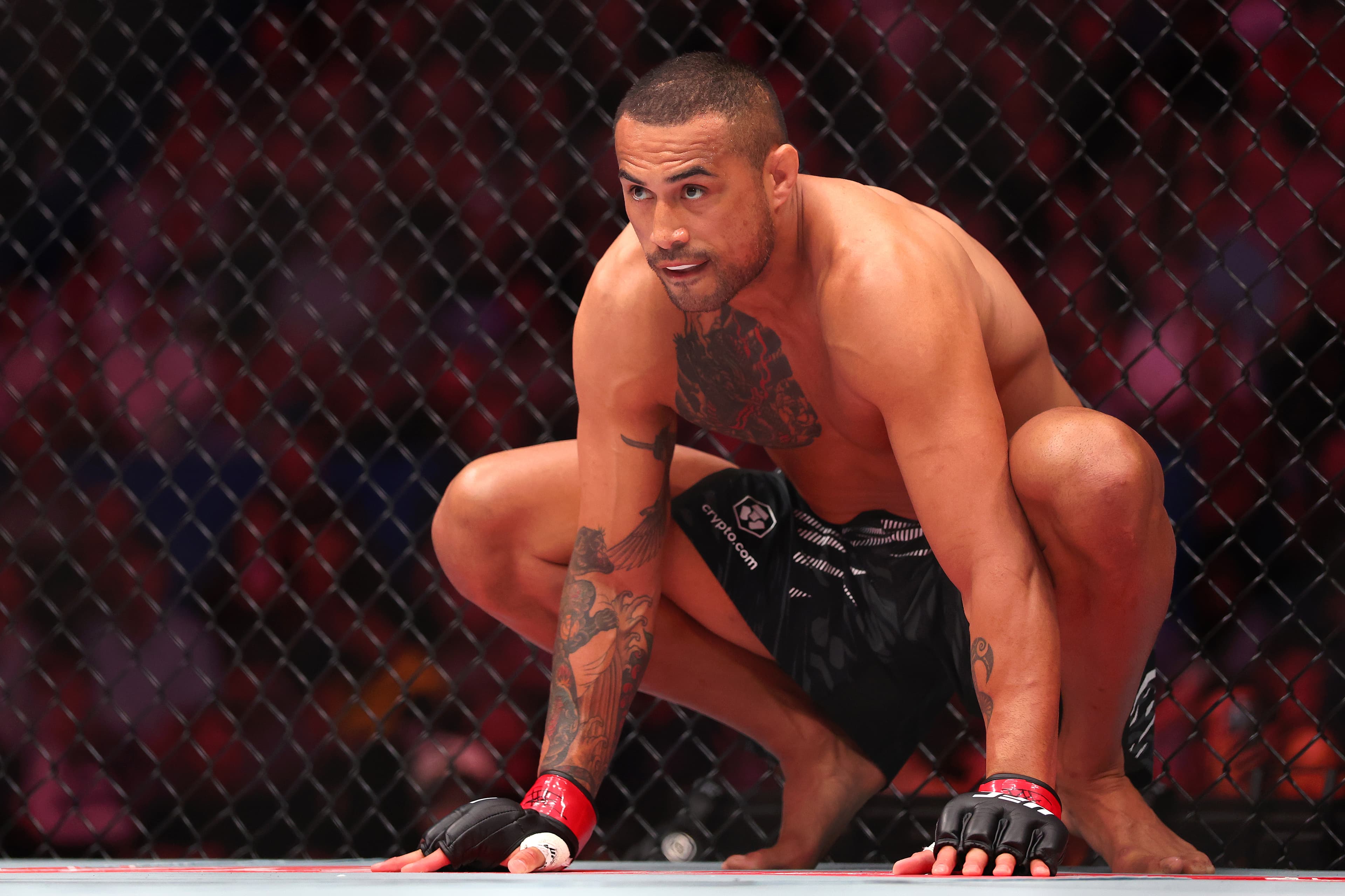 Following the money: UFC 327 betting line movements tracker | Prochazka vs. Ulberg