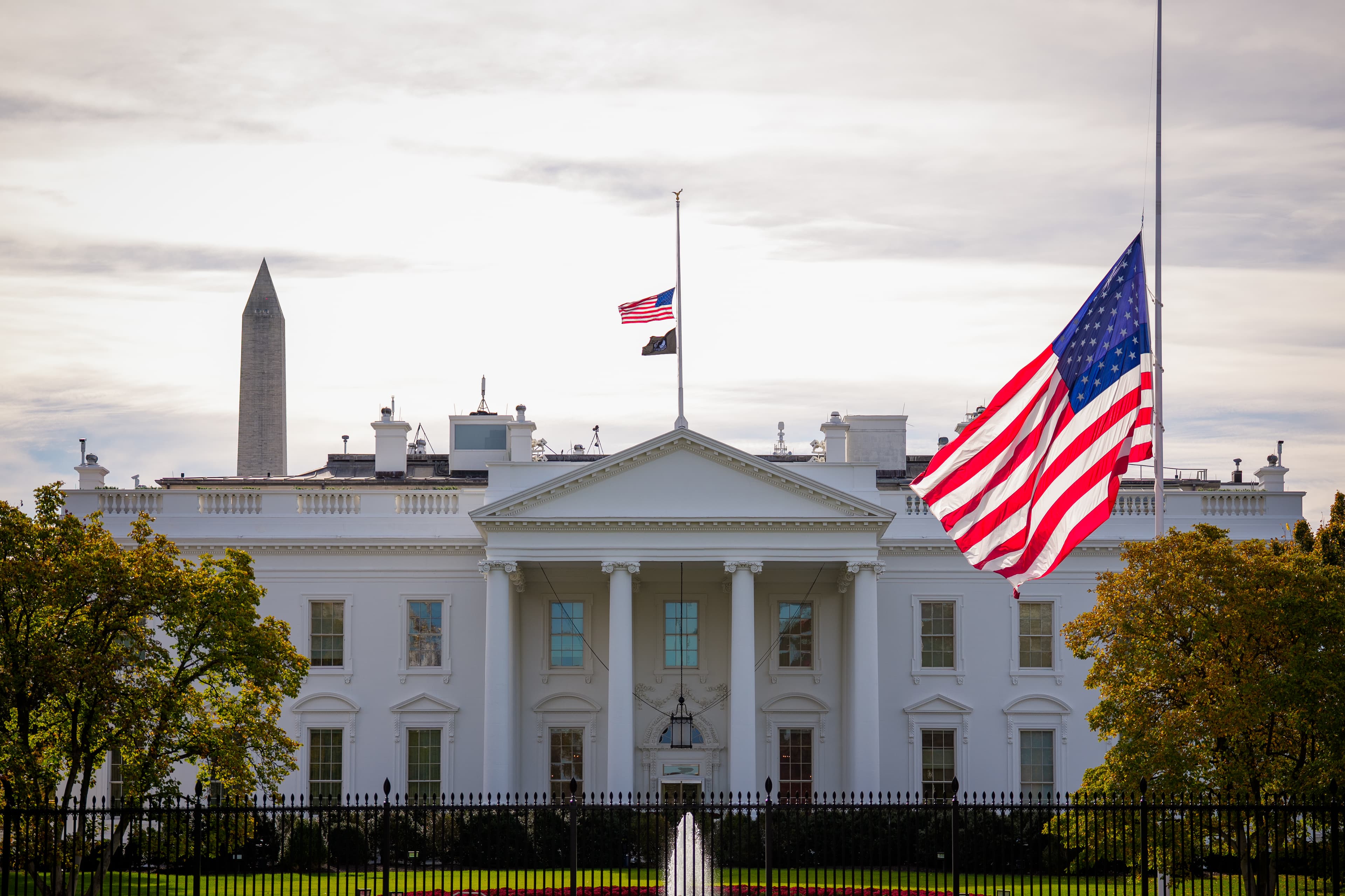 Sneak peek! Dana White teases UFC White House special feature to show what expensive South Lawn setup will look like in June | Video