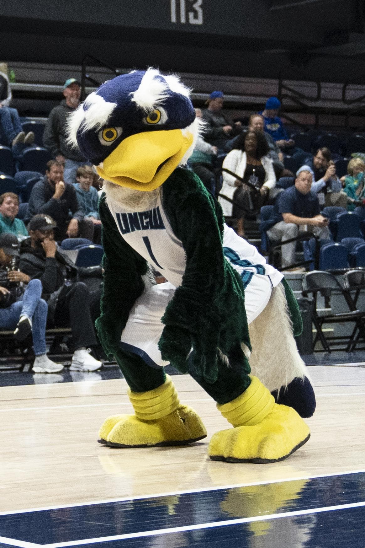 Lauren Young Announces Her Transfer To Marquette Volleyball