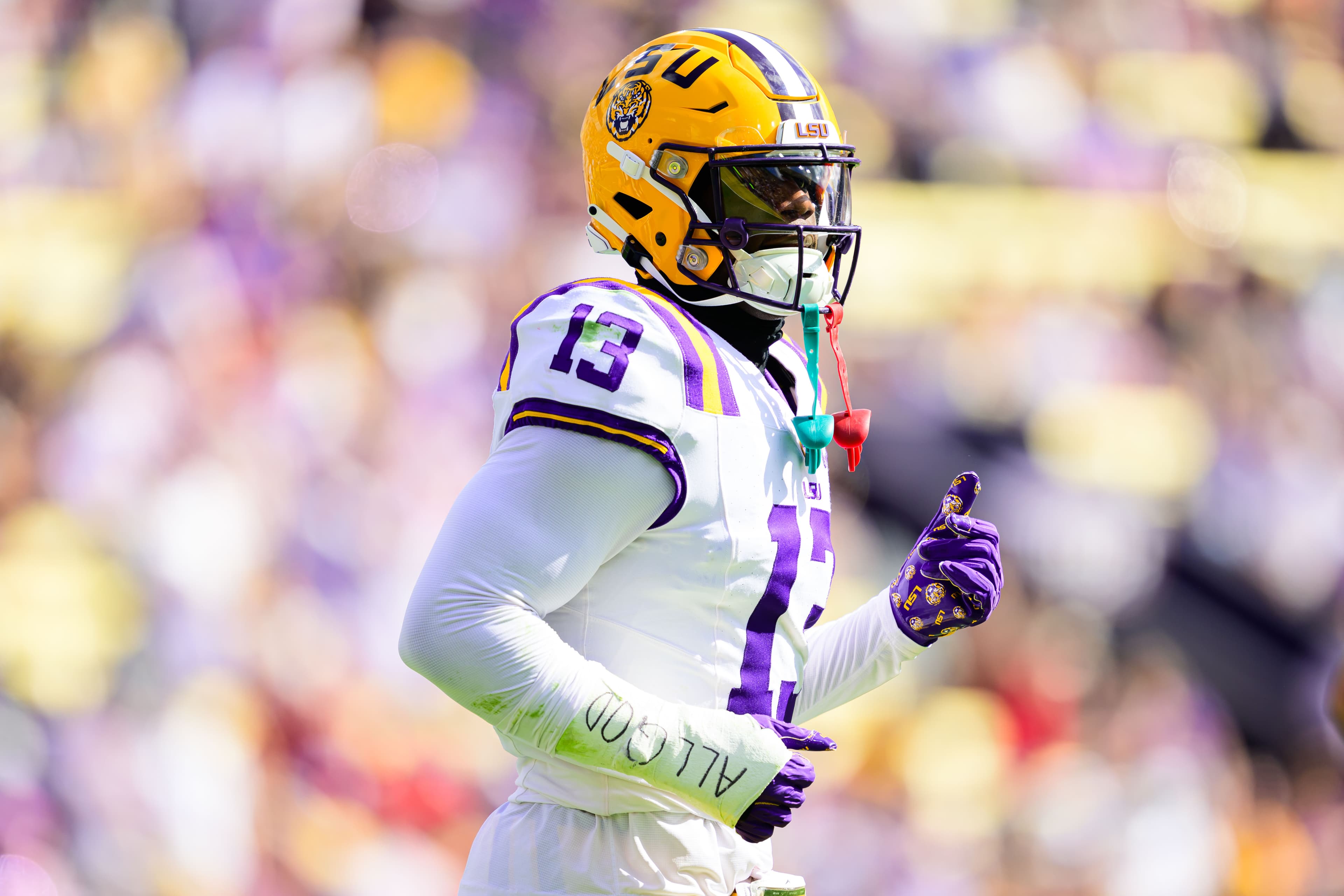 Green Bay Packers Draft: Safety Discussion