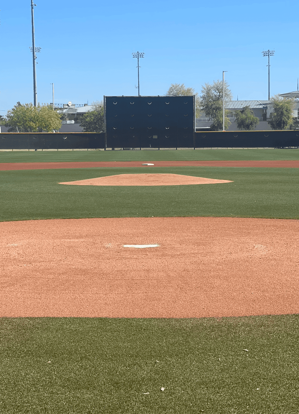 Raising Arizona 2026 V. 1