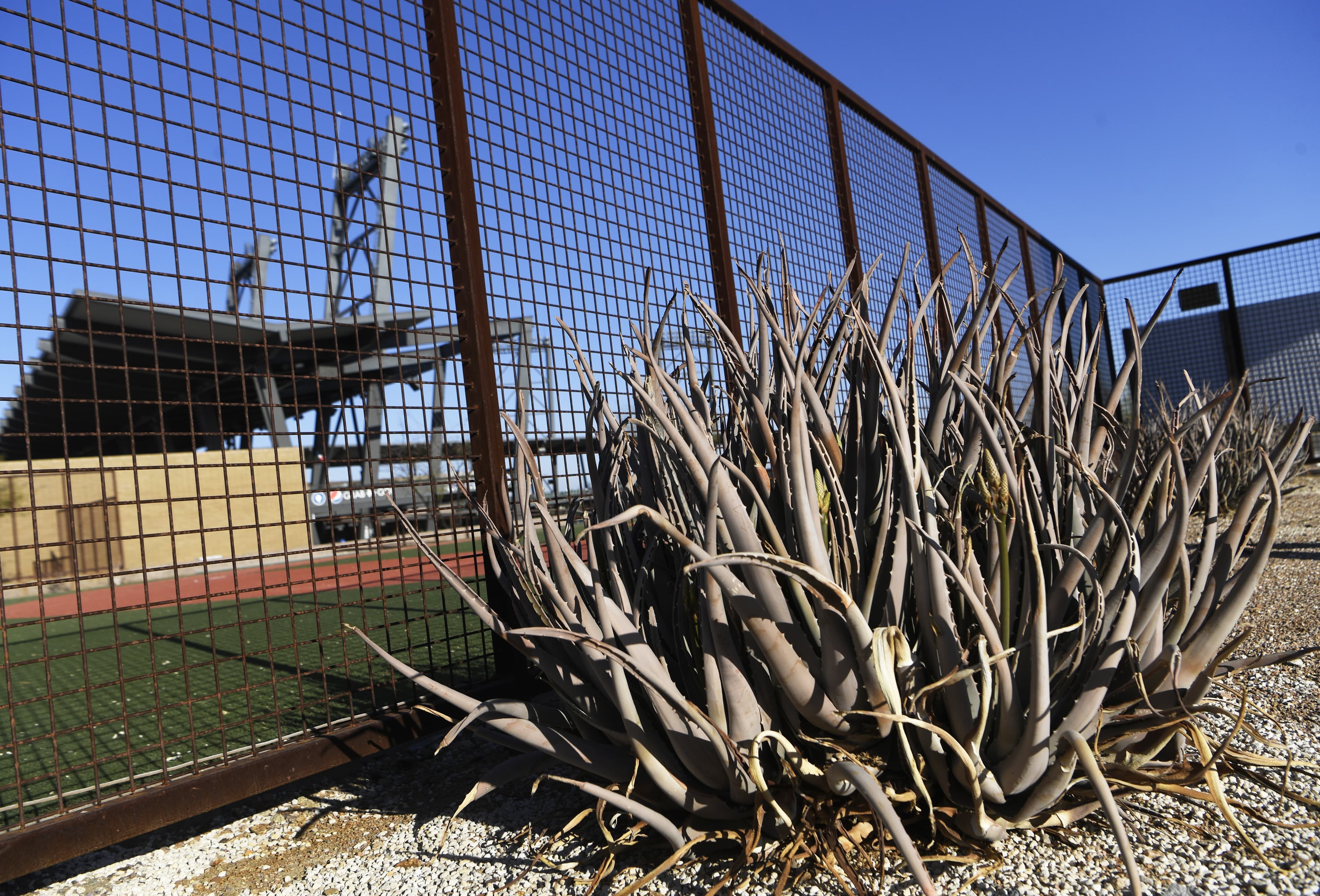 GameThread: Tigers vs. Rockies, 9:10 p.m.