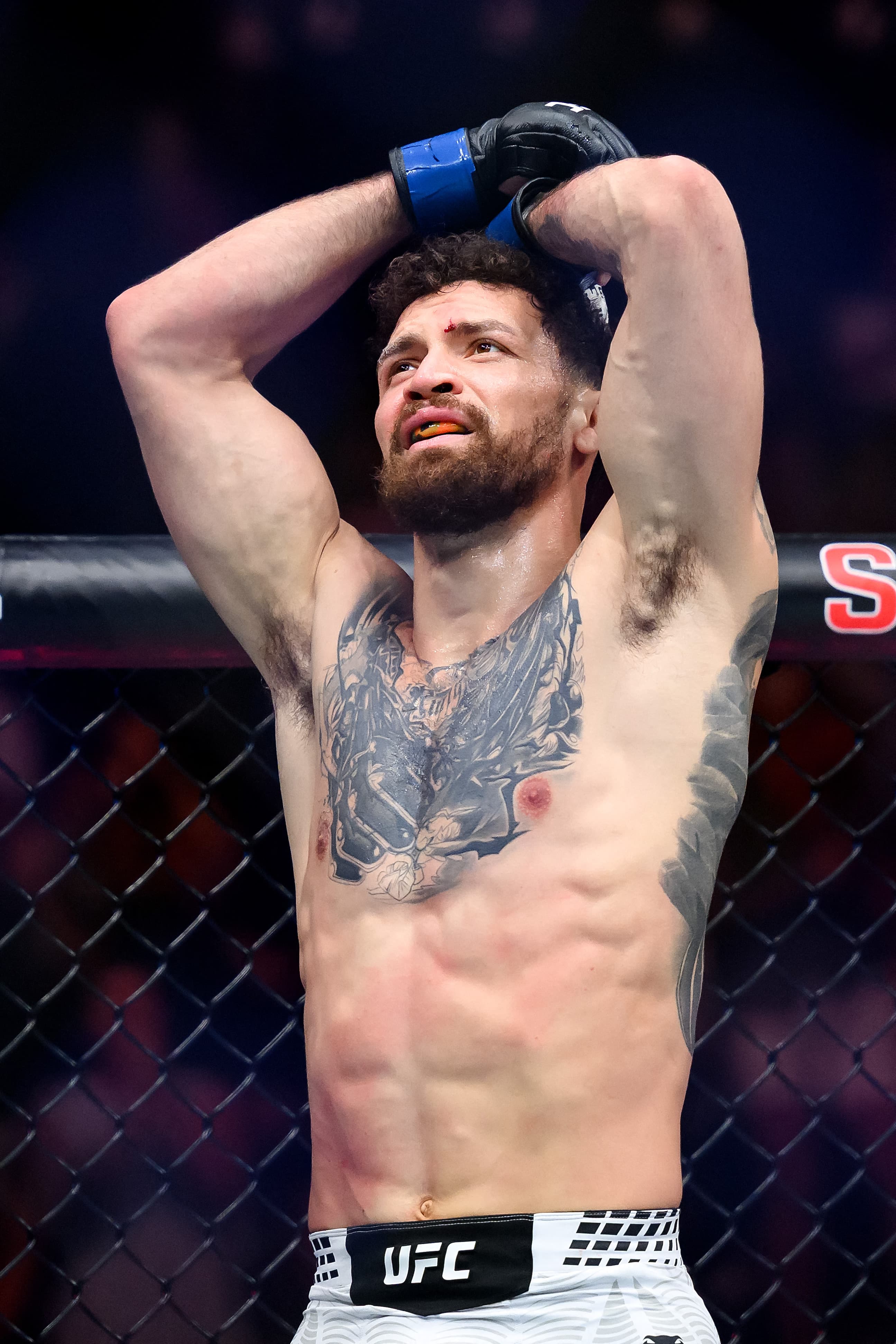 Hamilton Soars as King of Formula 1!