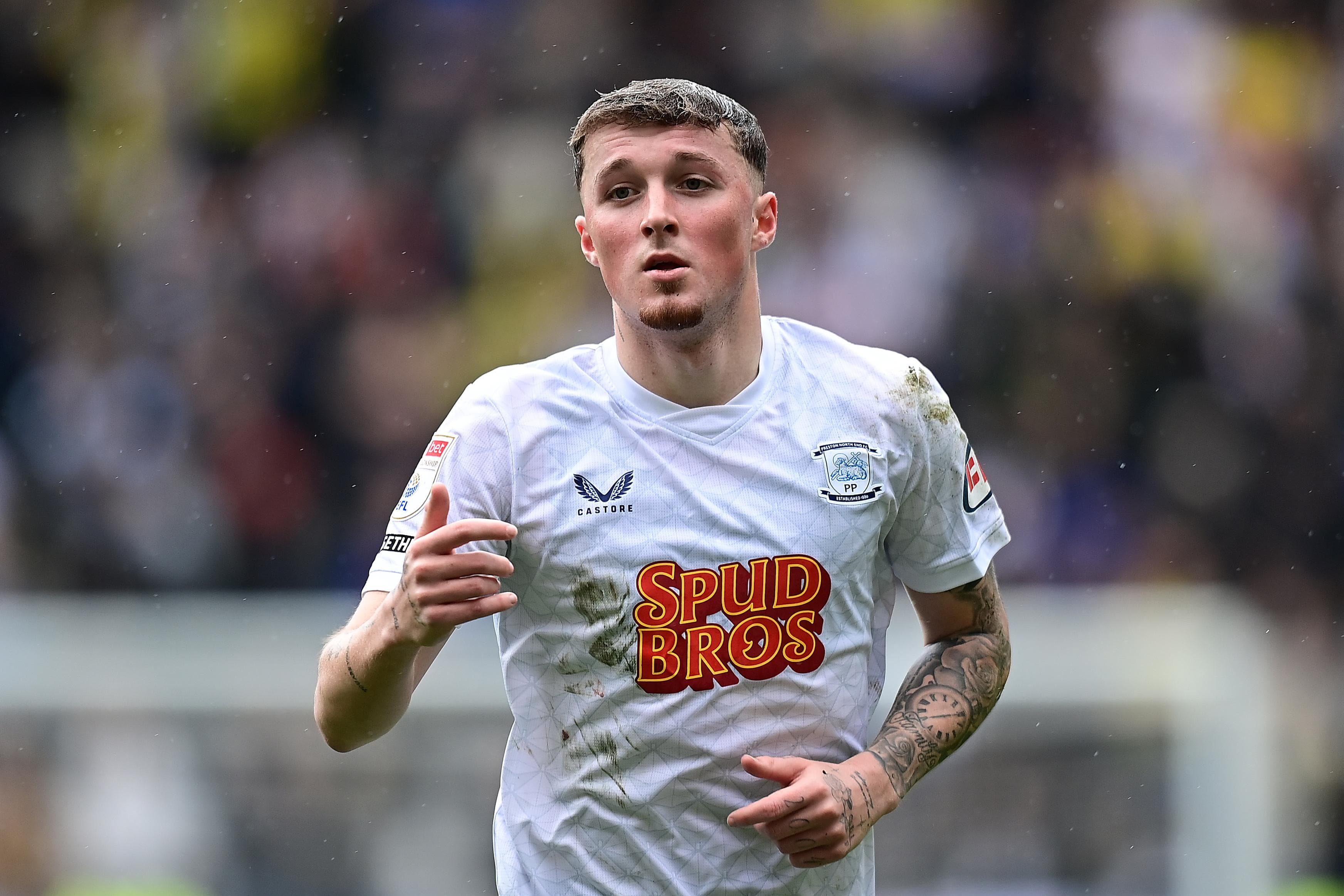 REPORT: Preston negotiating £4.5m deal for Tottenham’s Alfie Devine