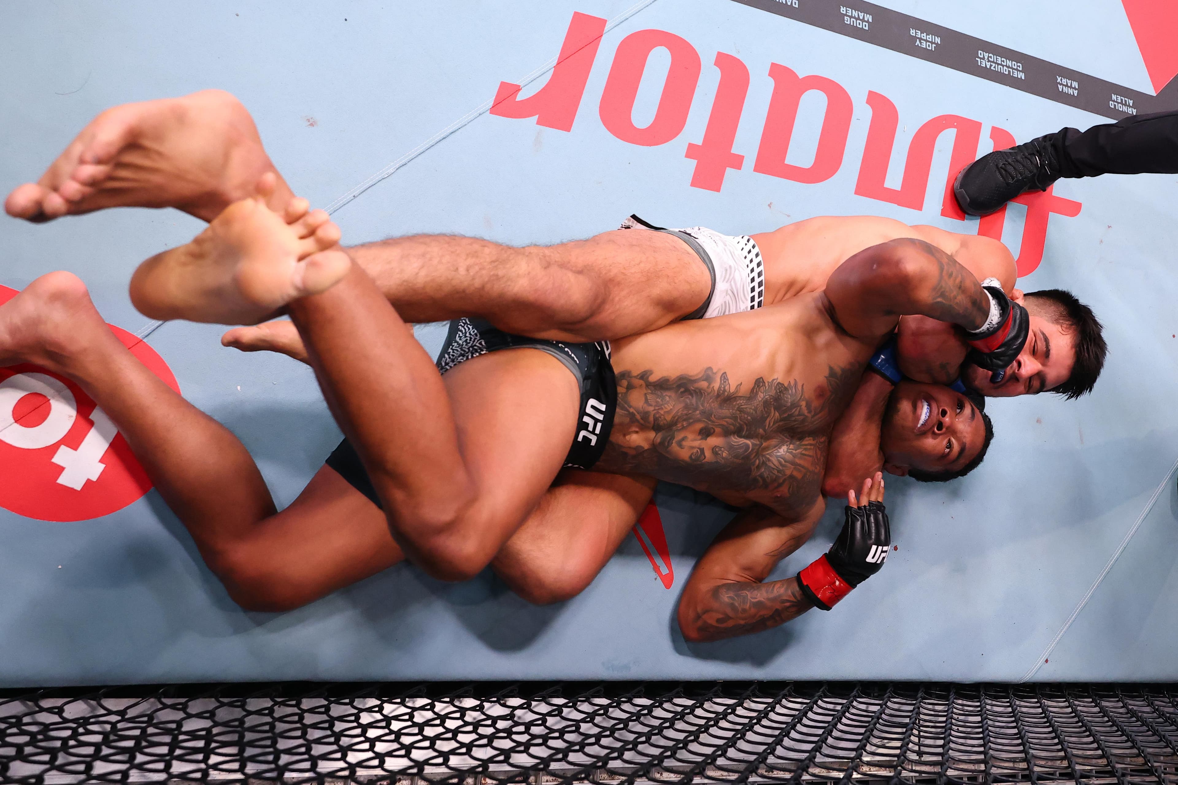 Not Again! Watch Wellmaker Drop Brutal Loss To Another UFC Newcomer