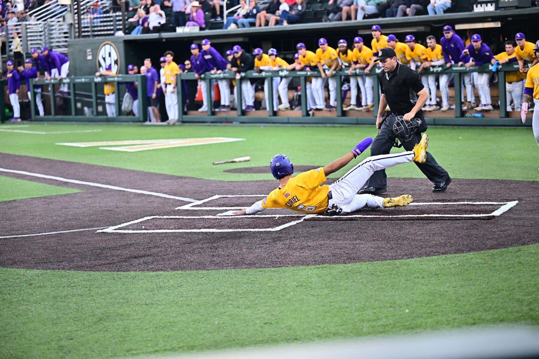 Thrilled Fans Witness Tigers Eclipsing Titans in Dominant 7-0 Triumph!