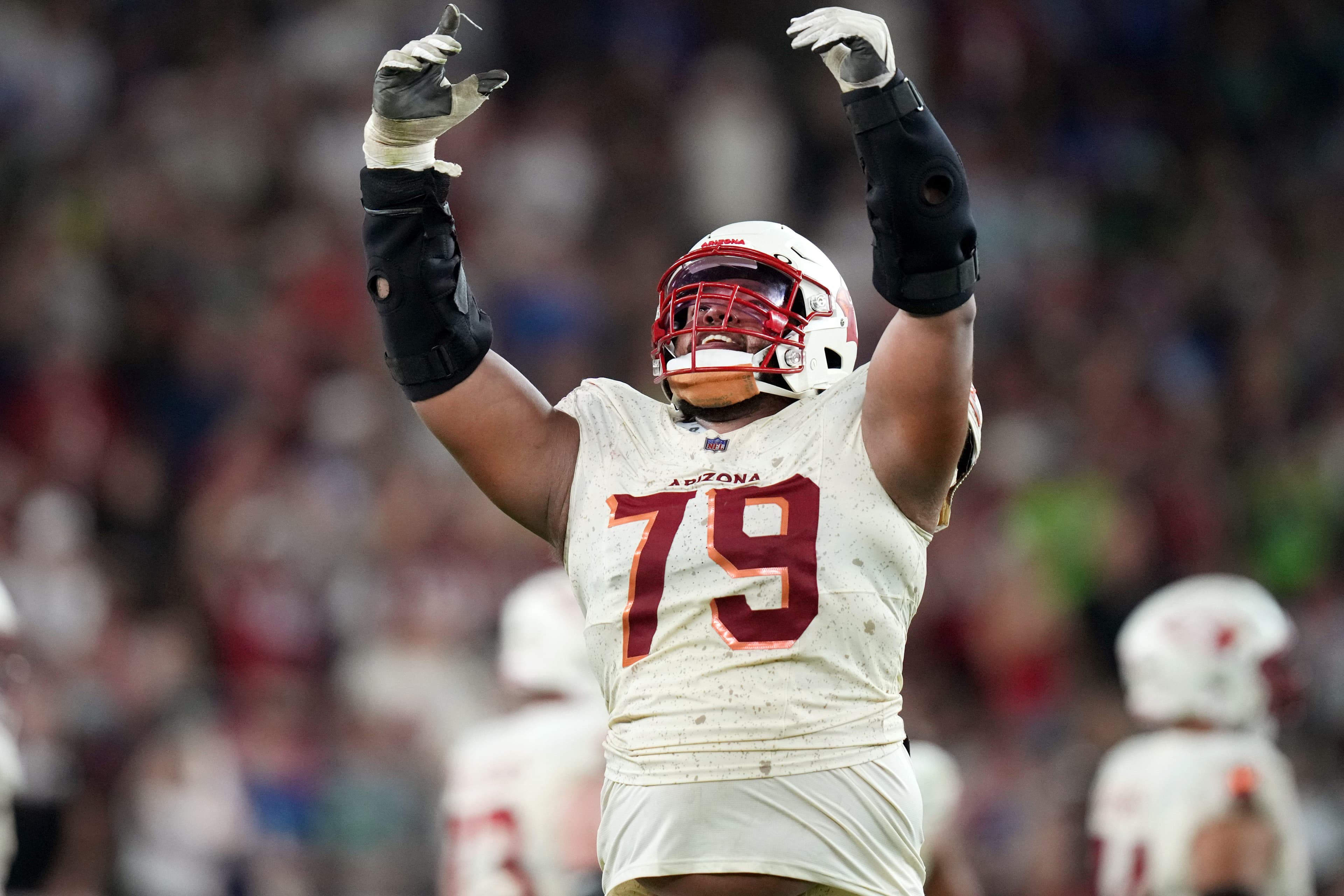 Arizona Cardinals re-sign Joshua Karty and P.J. Mustipher