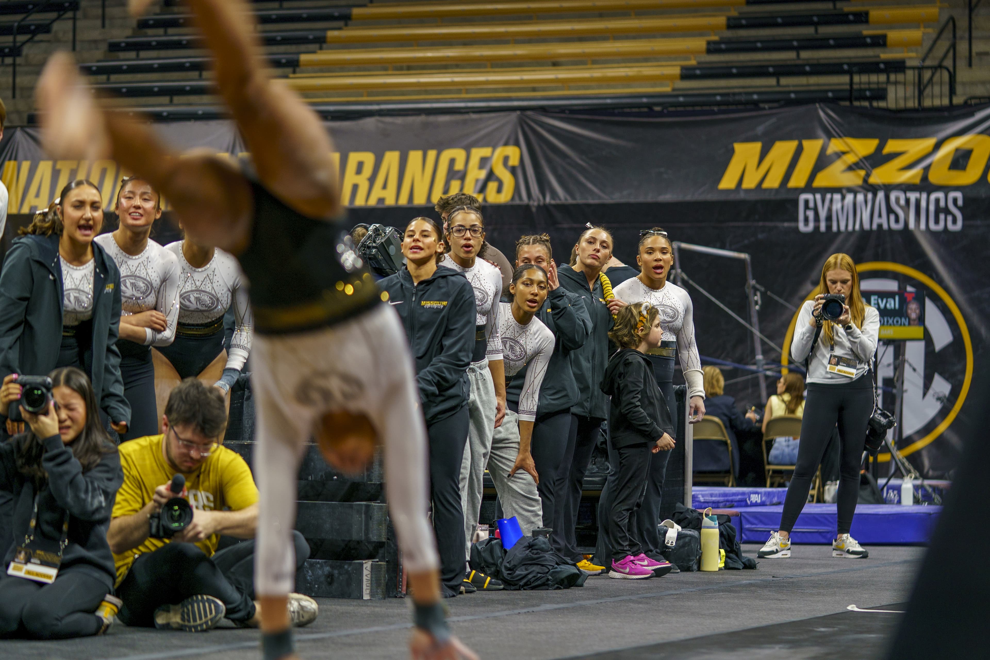 Mizzou Gym By the Numbers