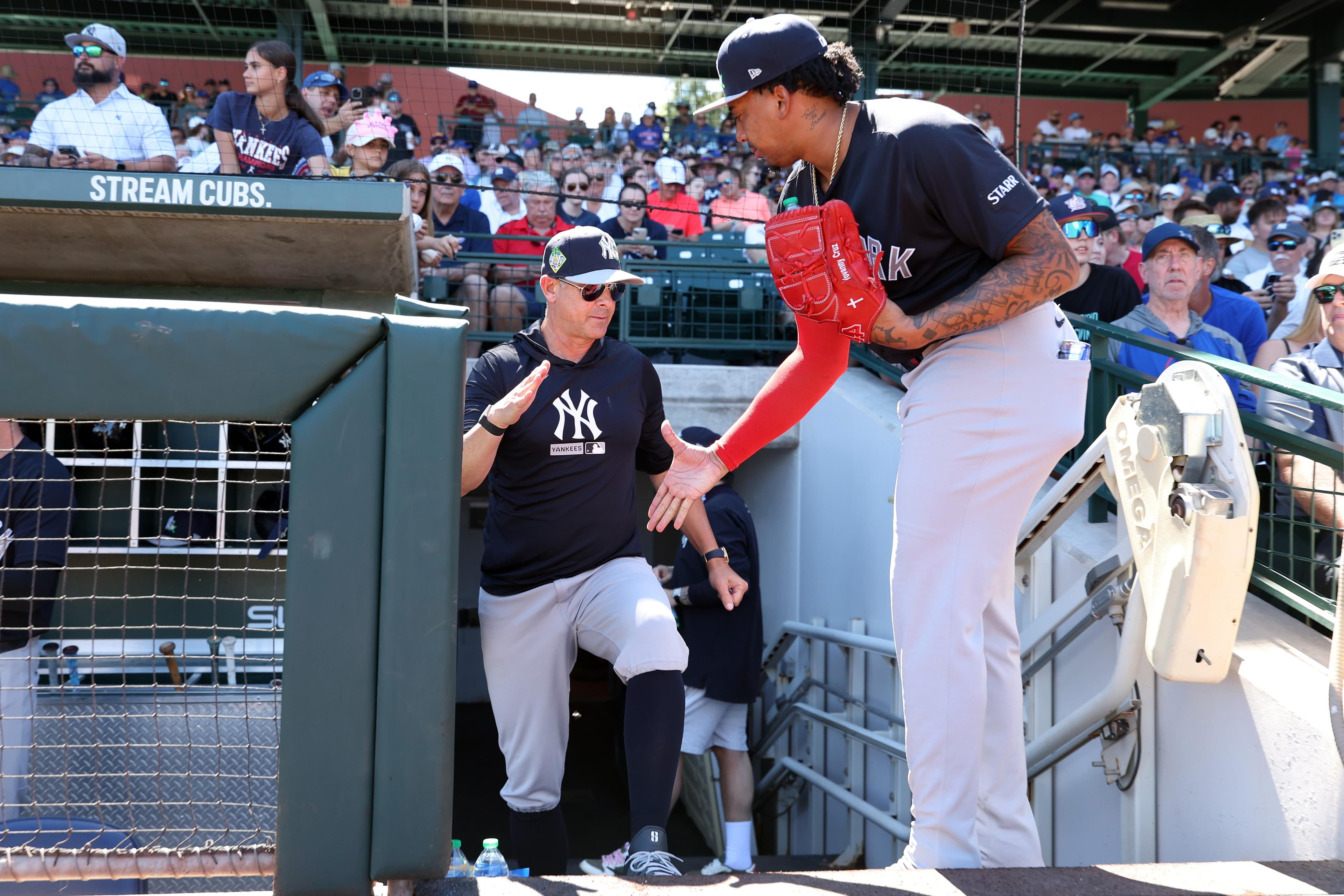 Yankees promote right-handed reliever Yovanny Cruz, option Elmer Rodríguez